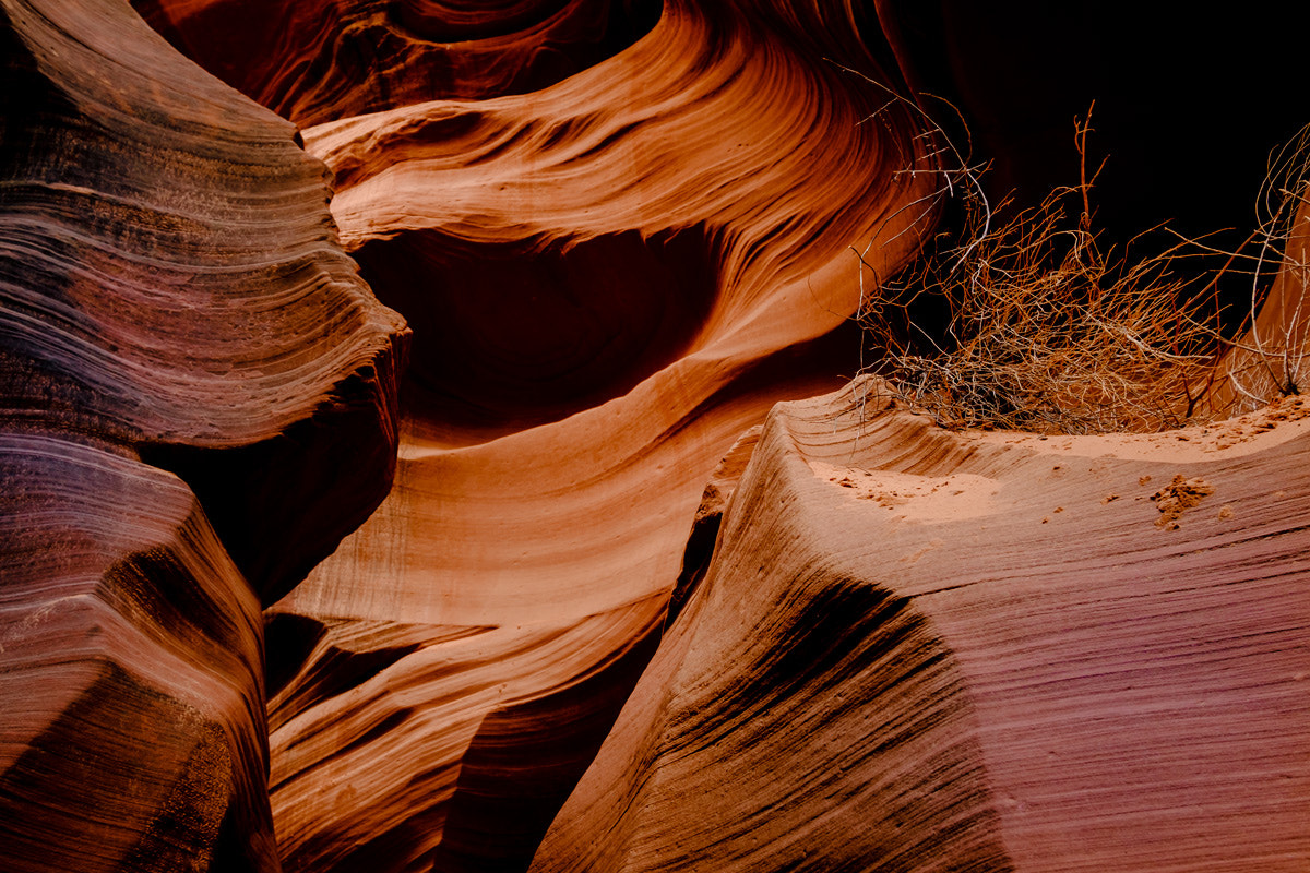 Fujifilm X-T2 + Fujifilm XF 10-24mm F4 R OIS sample photo. Lower antelope canyon iii photography