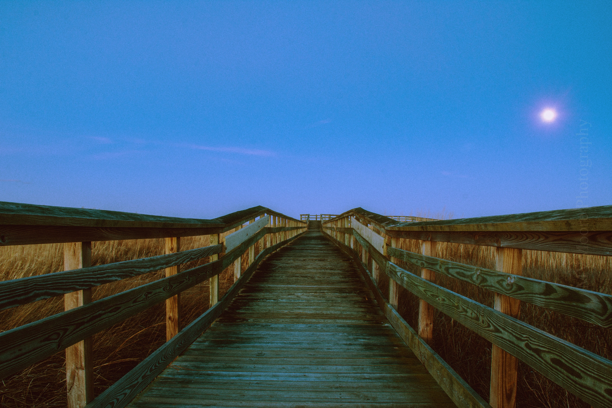 Nikon D7200 sample photo. Dusk in the marsh photography