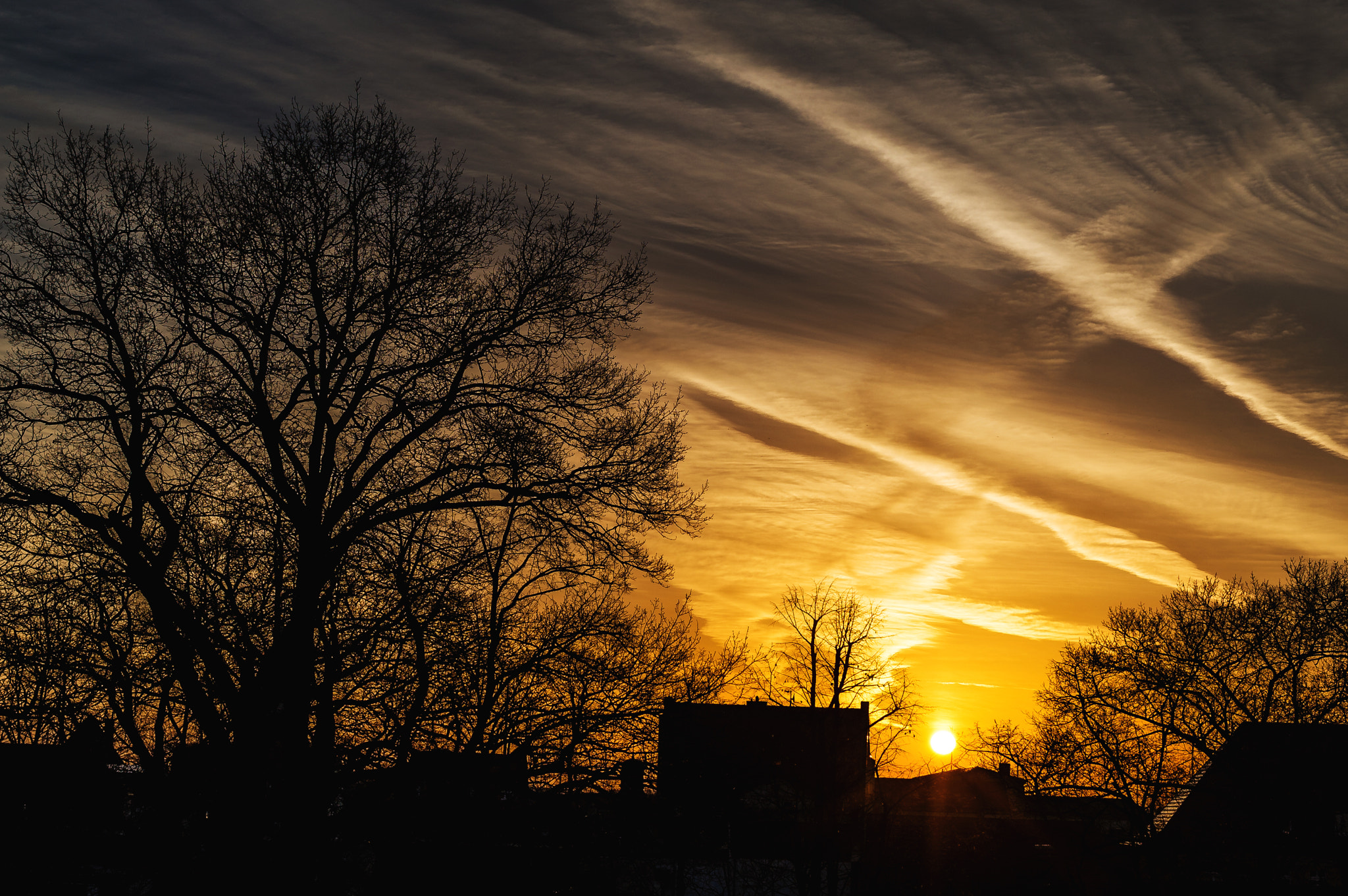 Nikon AF-S DX Micro Nikkor 40mm F2.8 sample photo. Good morning sunshine photography