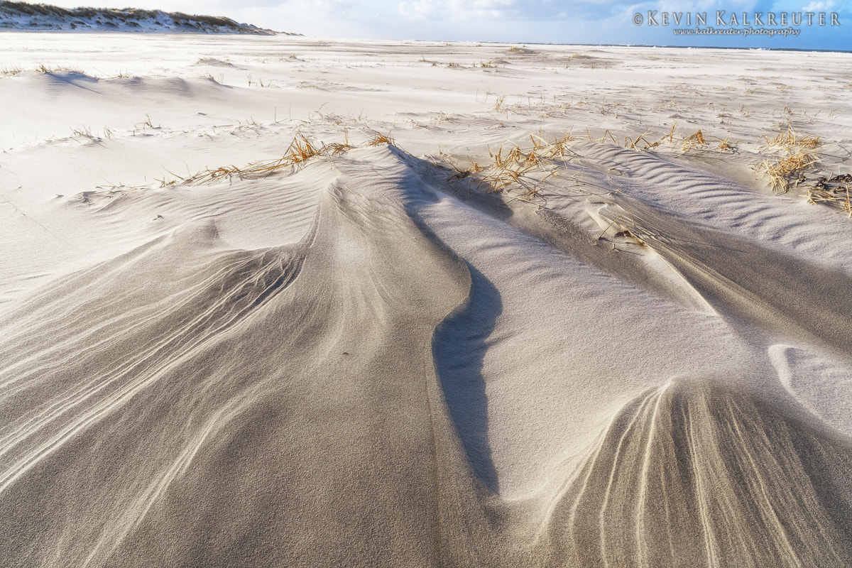 Sigma 17-70mm F2.8-4 DC Macro OS HSM | C sample photo. Natural beach photography