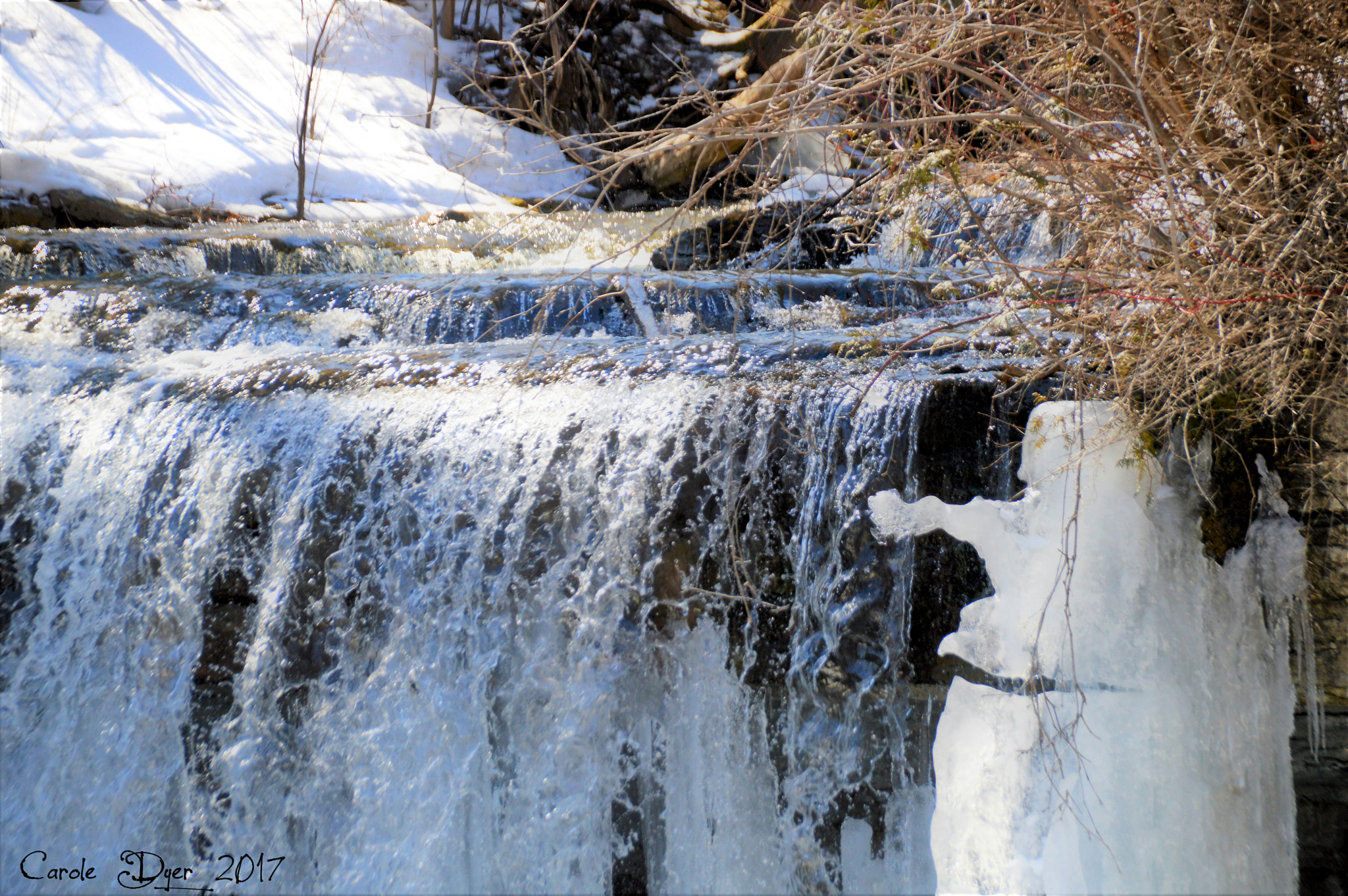 Sigma 18-250mm F3.5-6.3 DC Macro OS HSM sample photo. Nature's ice sculpture photography