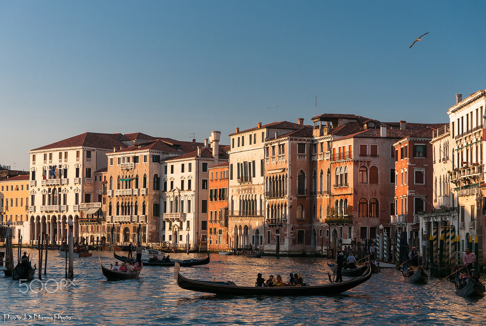 Sigma 17-50mm F2.8 EX DC OS HSM sample photo. Canal grande photography