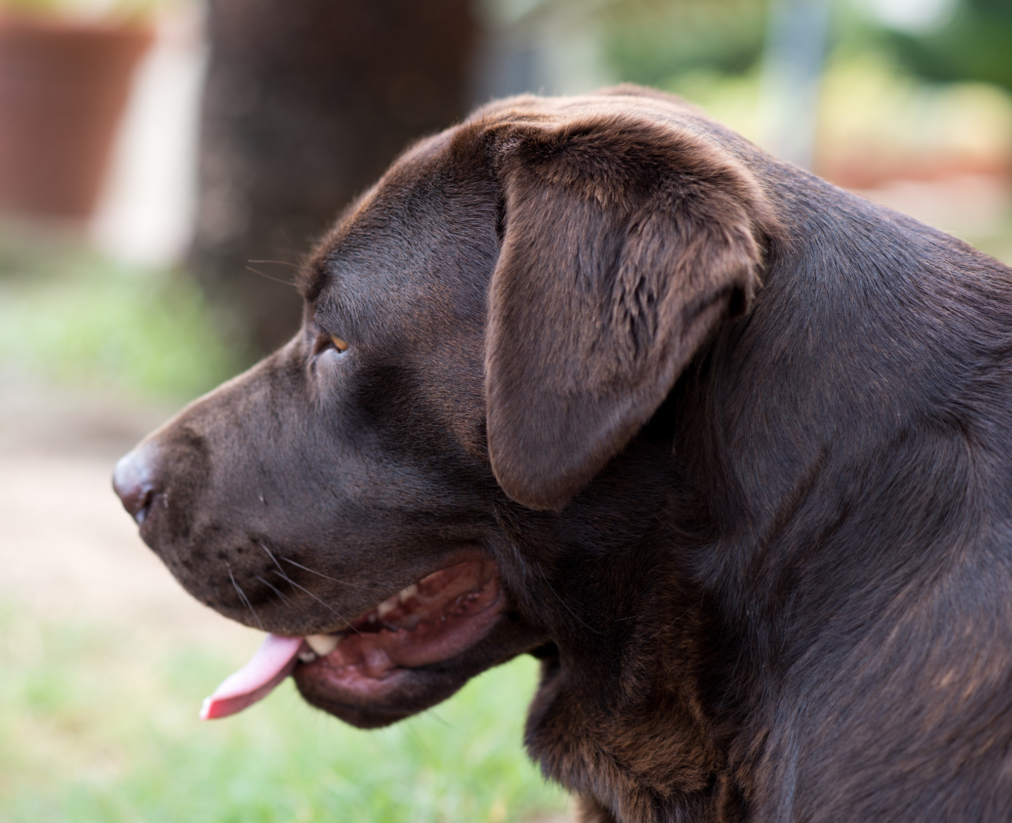 Nikon D810 + Nikon AF-S Nikkor 85mm F1.8G sample photo. Dsc_0040.jpg photography