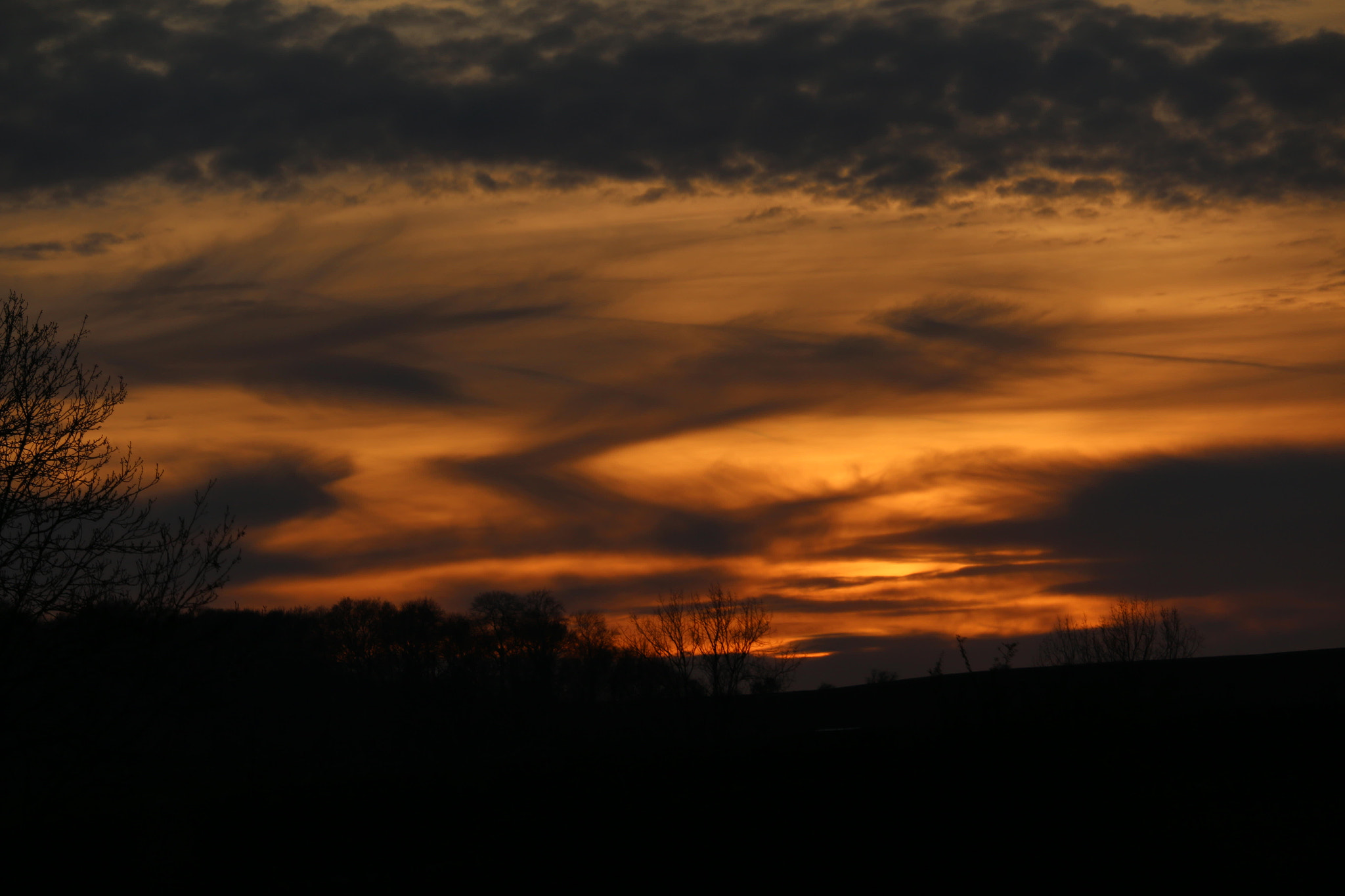 Canon EF-S 55-250mm F4-5.6 IS STM sample photo