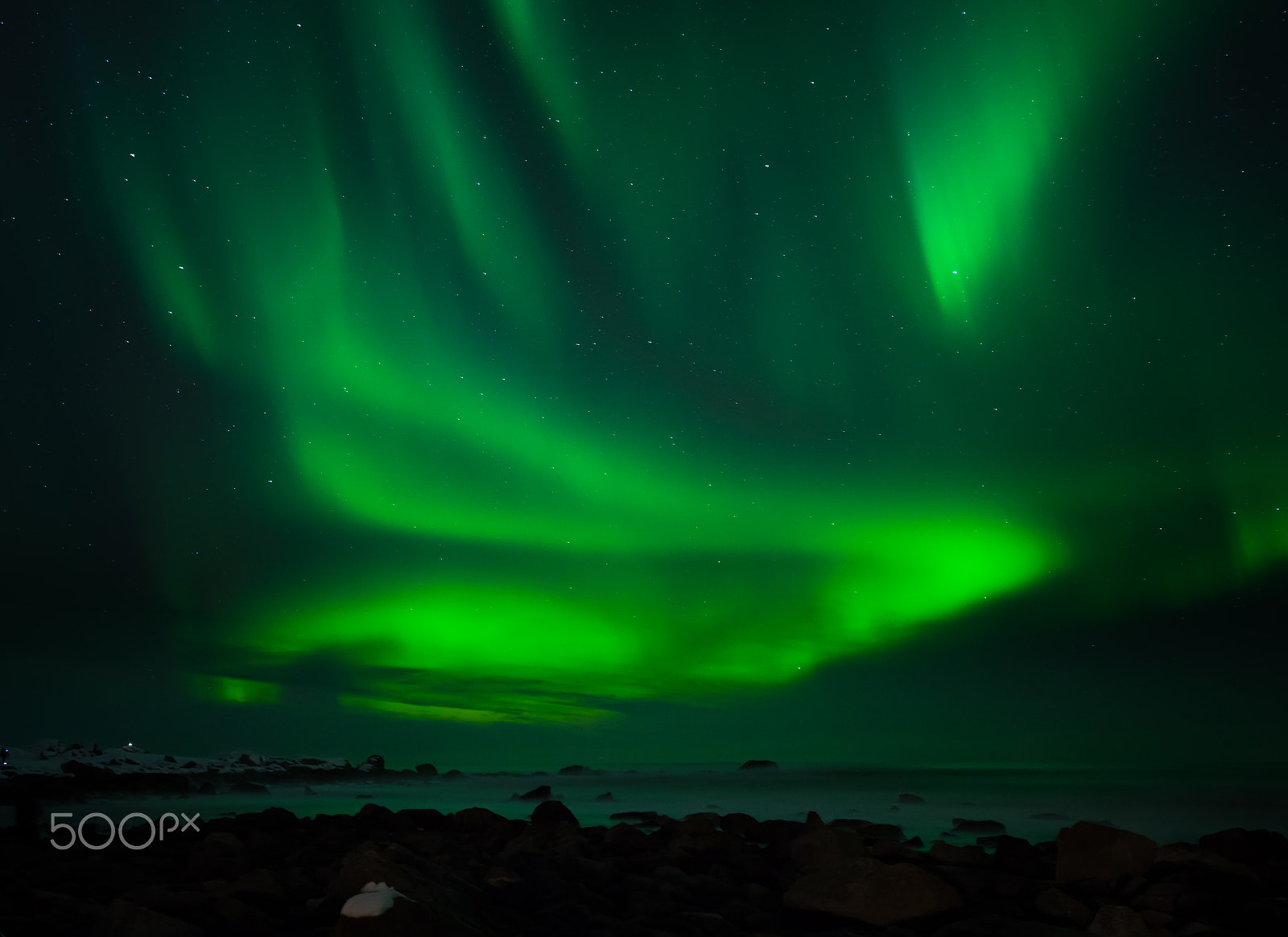 Sony a7R + Sony Vario-Tessar T* FE 16-35mm F4 ZA OSS sample photo. Miracle in green photography
