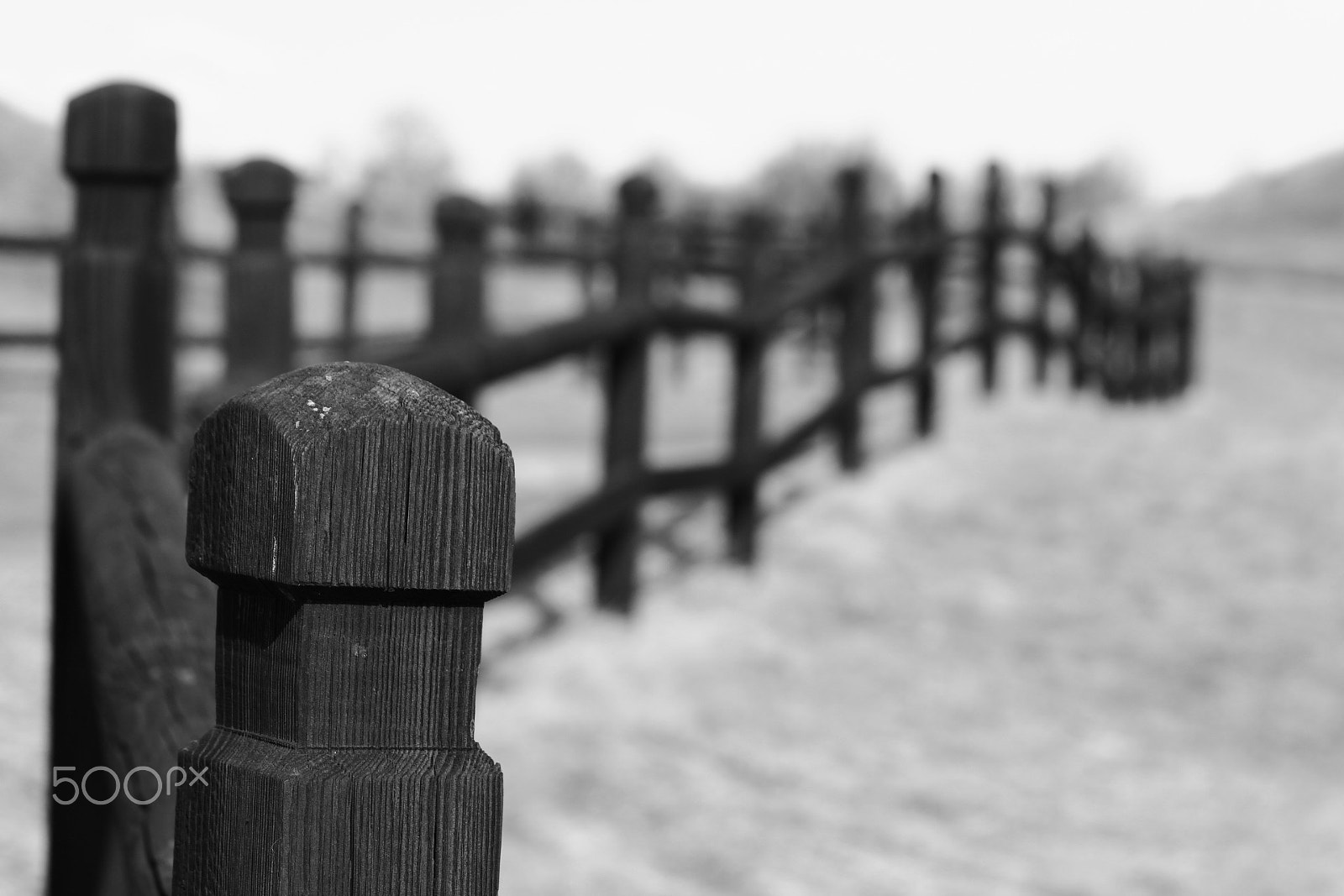 Canon EF 70-300mm F4-5.6 IS USM sample photo. Twists and turns photography