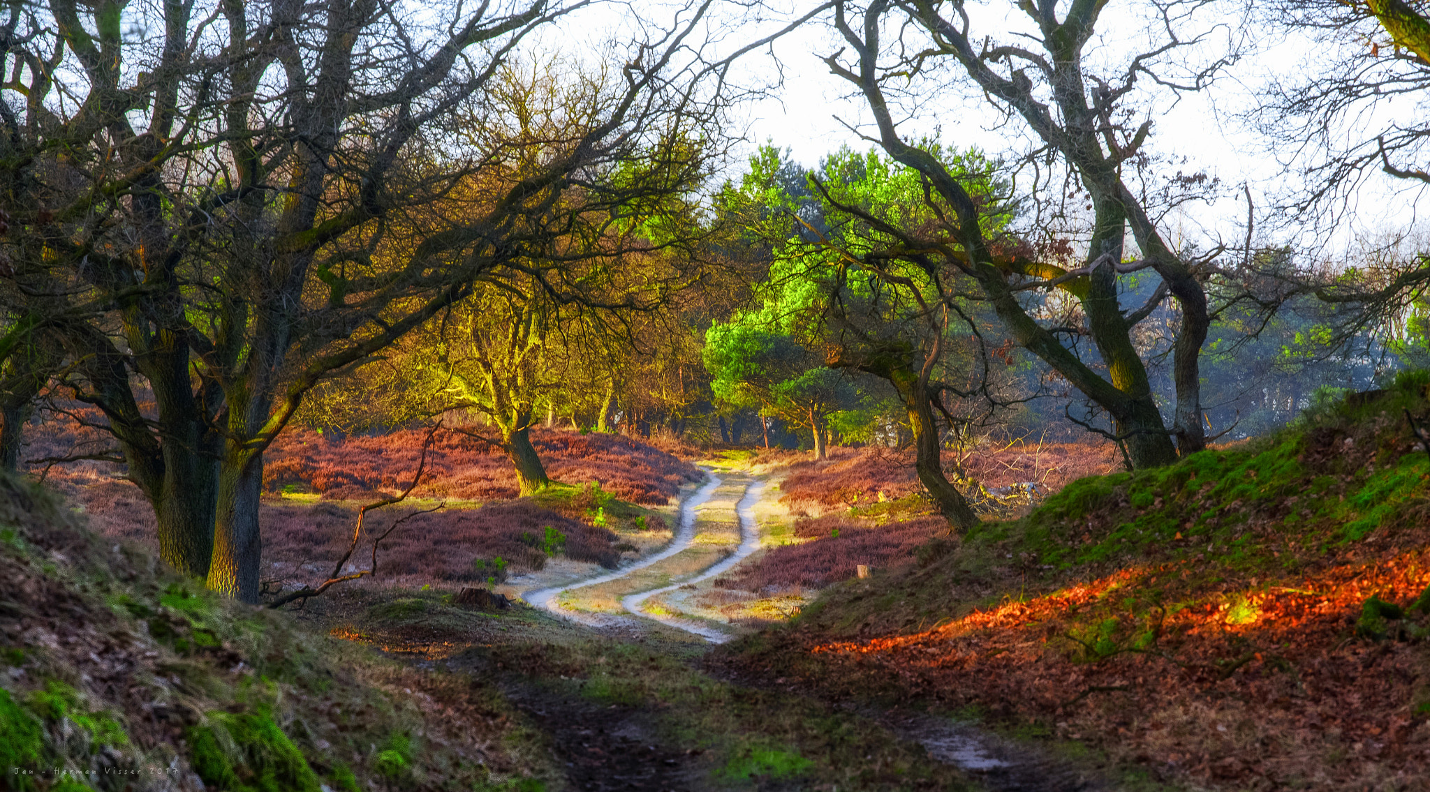 Canon EOS-1Ds Mark II sample photo. Dutch paradise photography