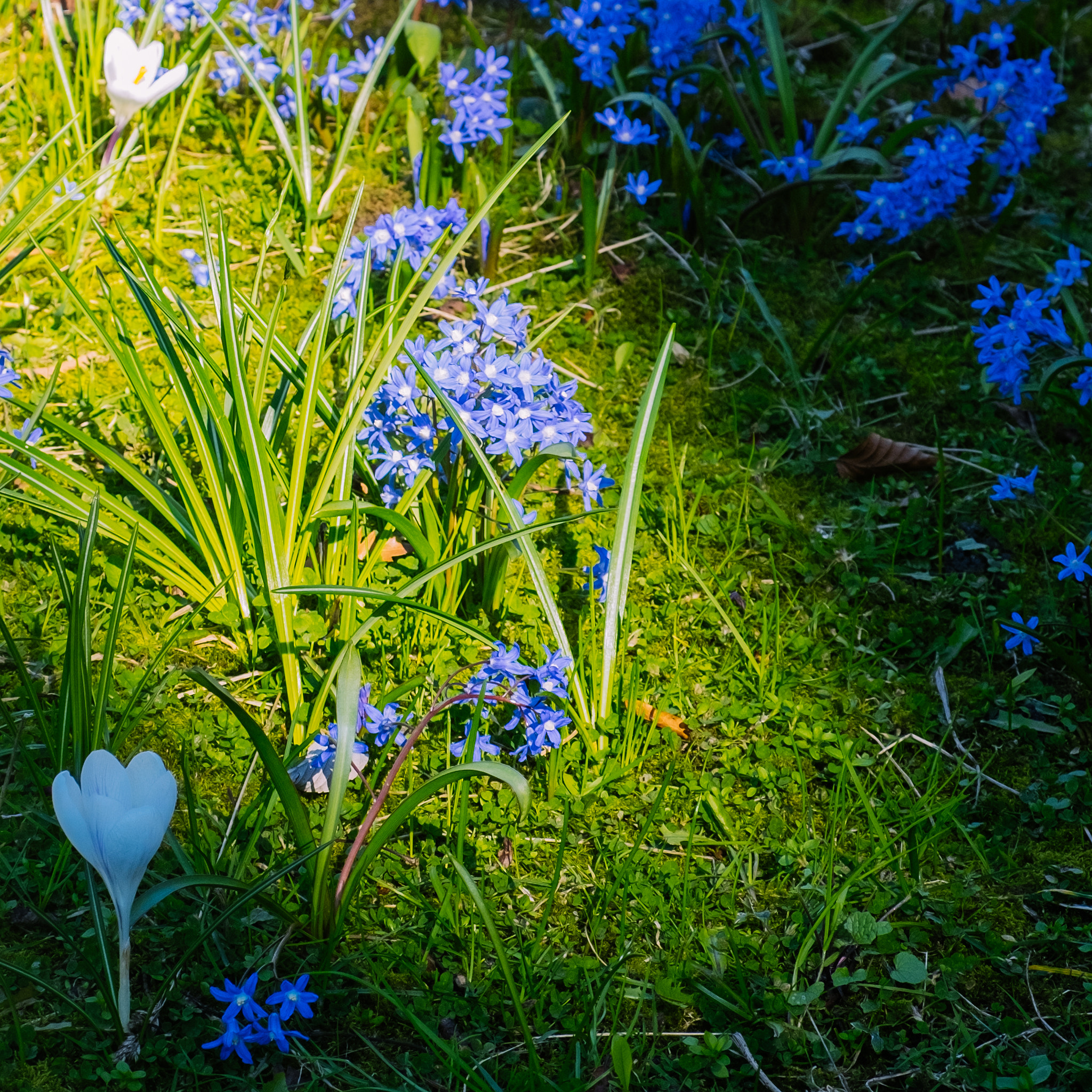 Fujifilm X-E2 + Fujifilm XF 18-55mm F2.8-4 R LM OIS sample photo. Growing up photography