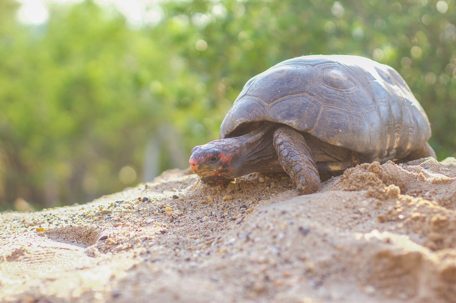 Canon EF 50mm F1.4 USM sample photo. Slow you go as long as you don't stop. photography