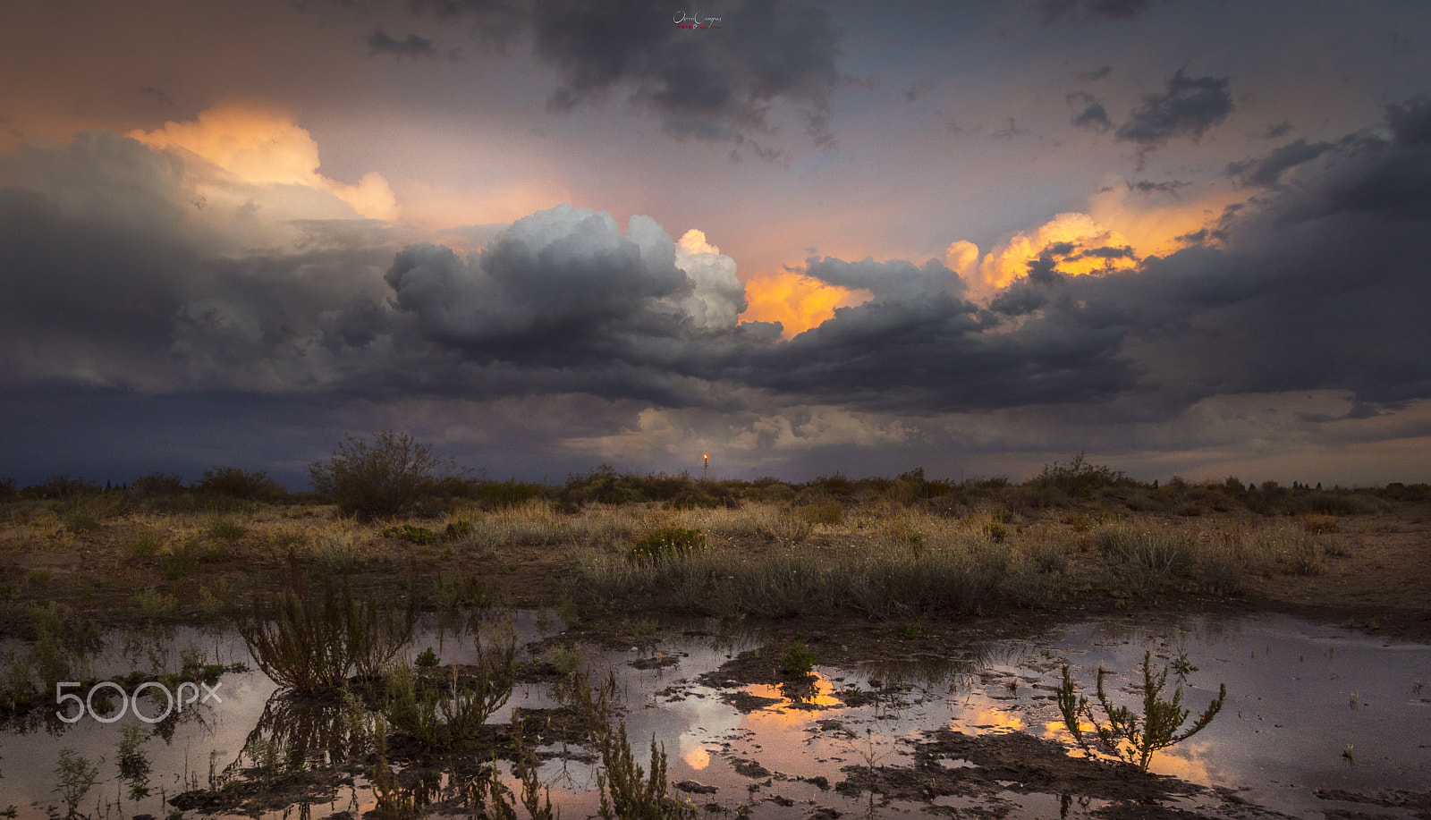 Nikon AF-S Nikkor 16-35mm F4G ED VR sample photo. Venteo photography