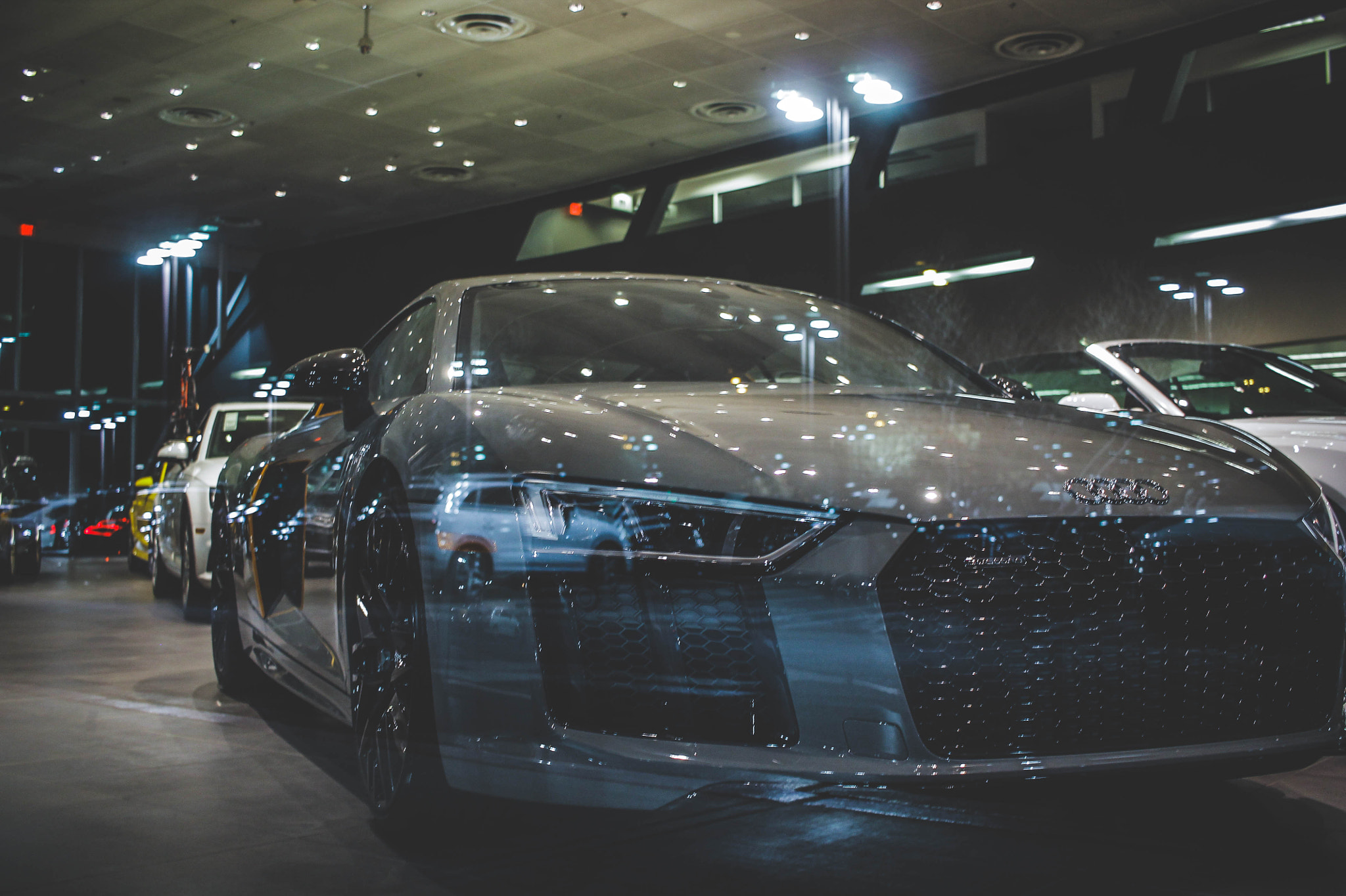 Canon EF-S 24mm F2.8 STM sample photo. R8 photography