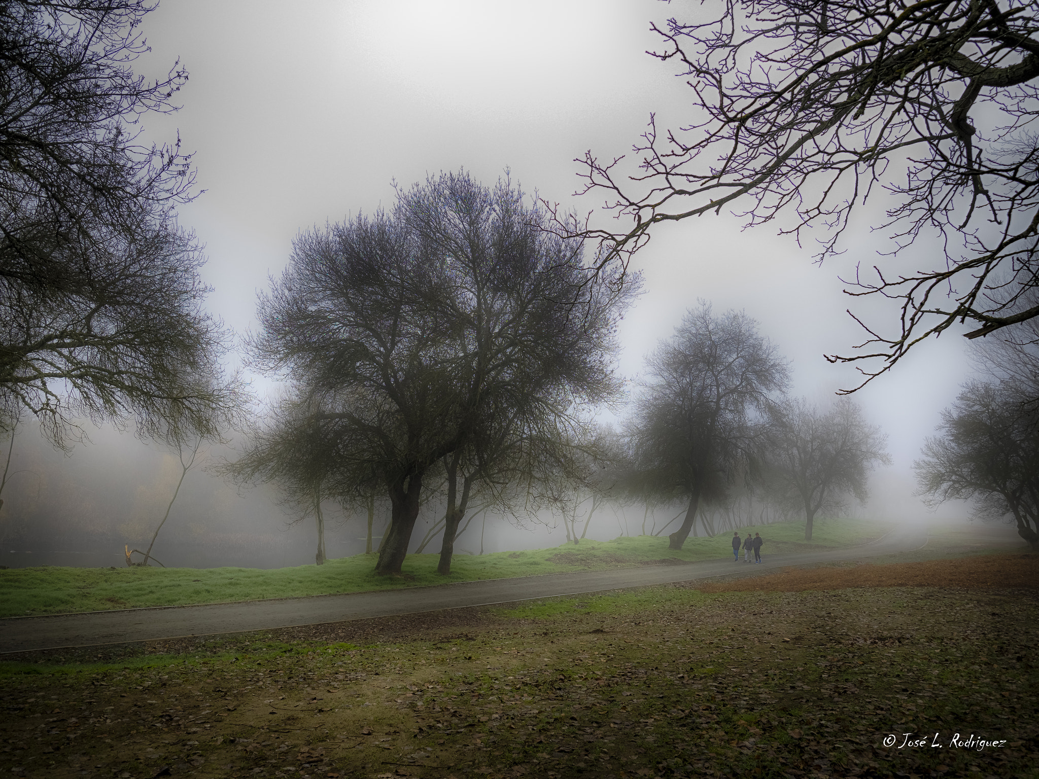 Olympus OM-D E-M1 + Olympus M.Zuiko Digital ED 7-14mm F2.8 PRO sample photo. Paseando entre la niebla photography