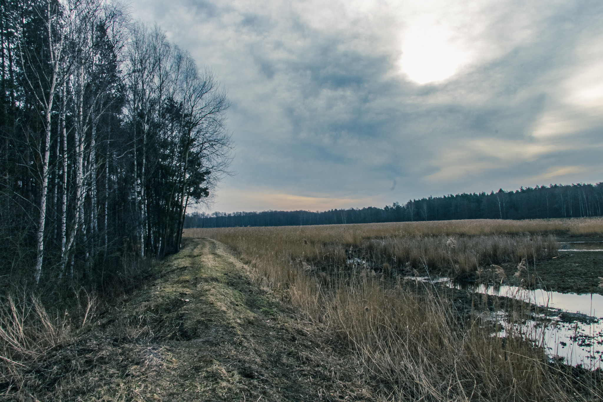 Canon EF-S 17-85mm F4-5.6 IS USM sample photo. Wiosenna wycieczka photography