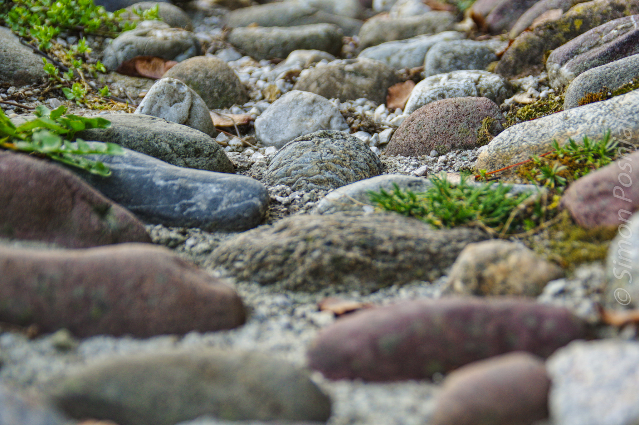 Pentax K-3 sample photo. Cobblestone photography