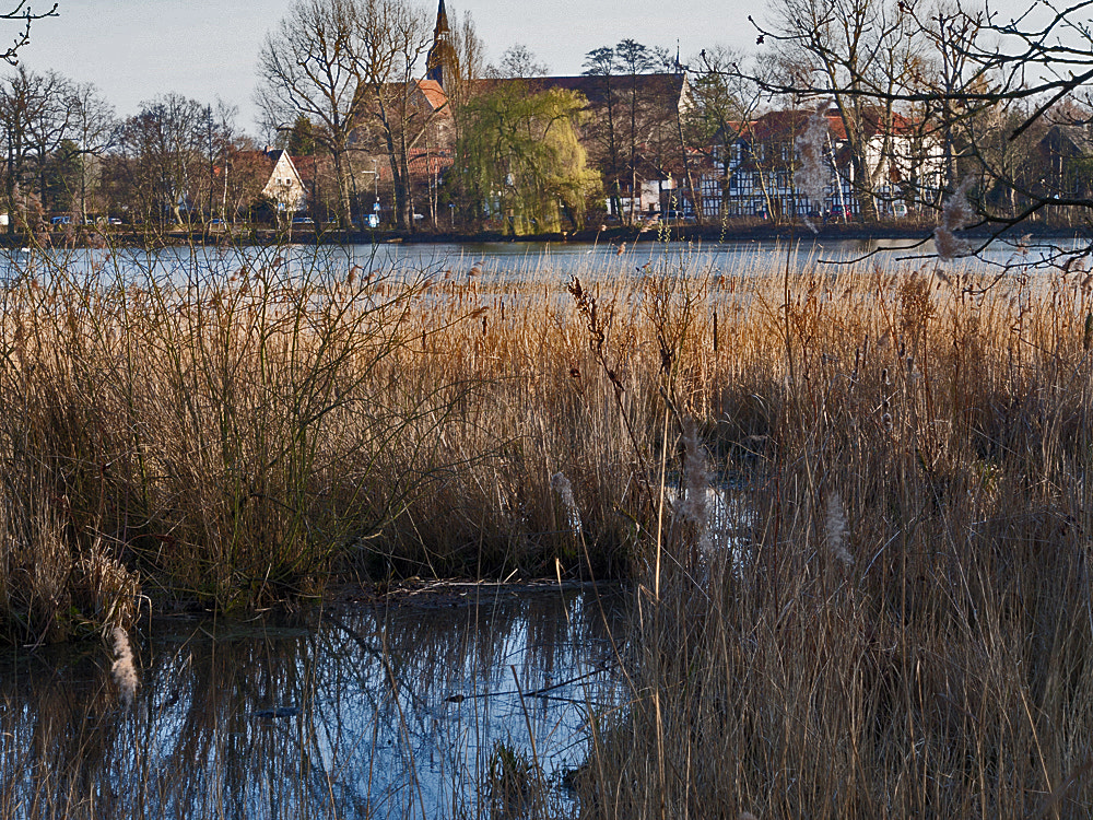 Olympus OM-D E-M5 sample photo. Spaziergang im naturschutzgebiet photography