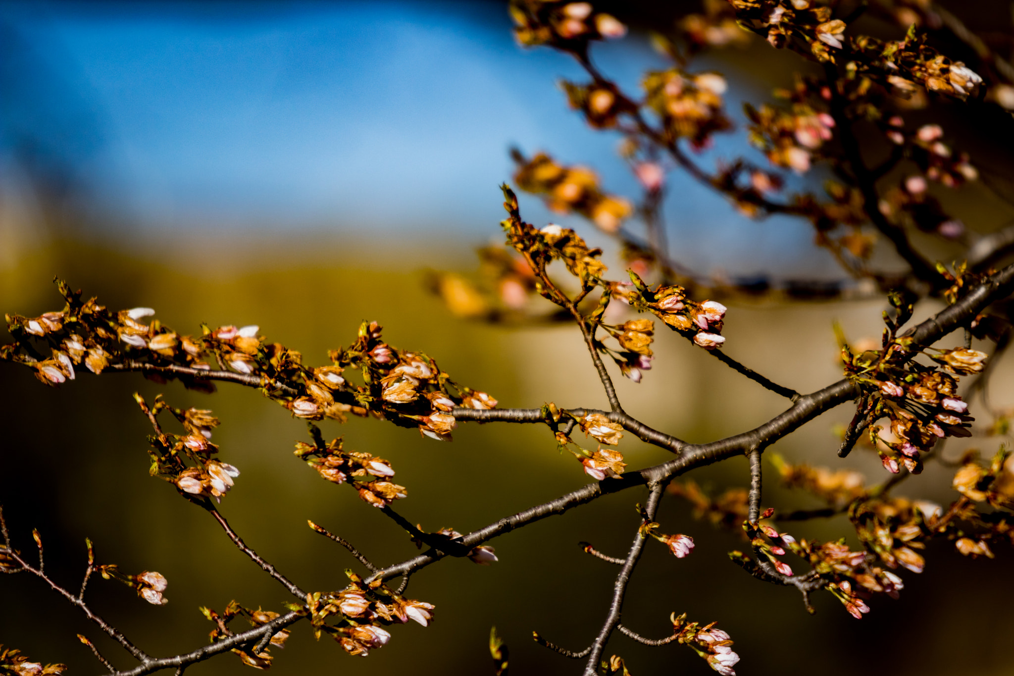 Canon EF 300mm F2.8L IS II USM sample photo. Img photography