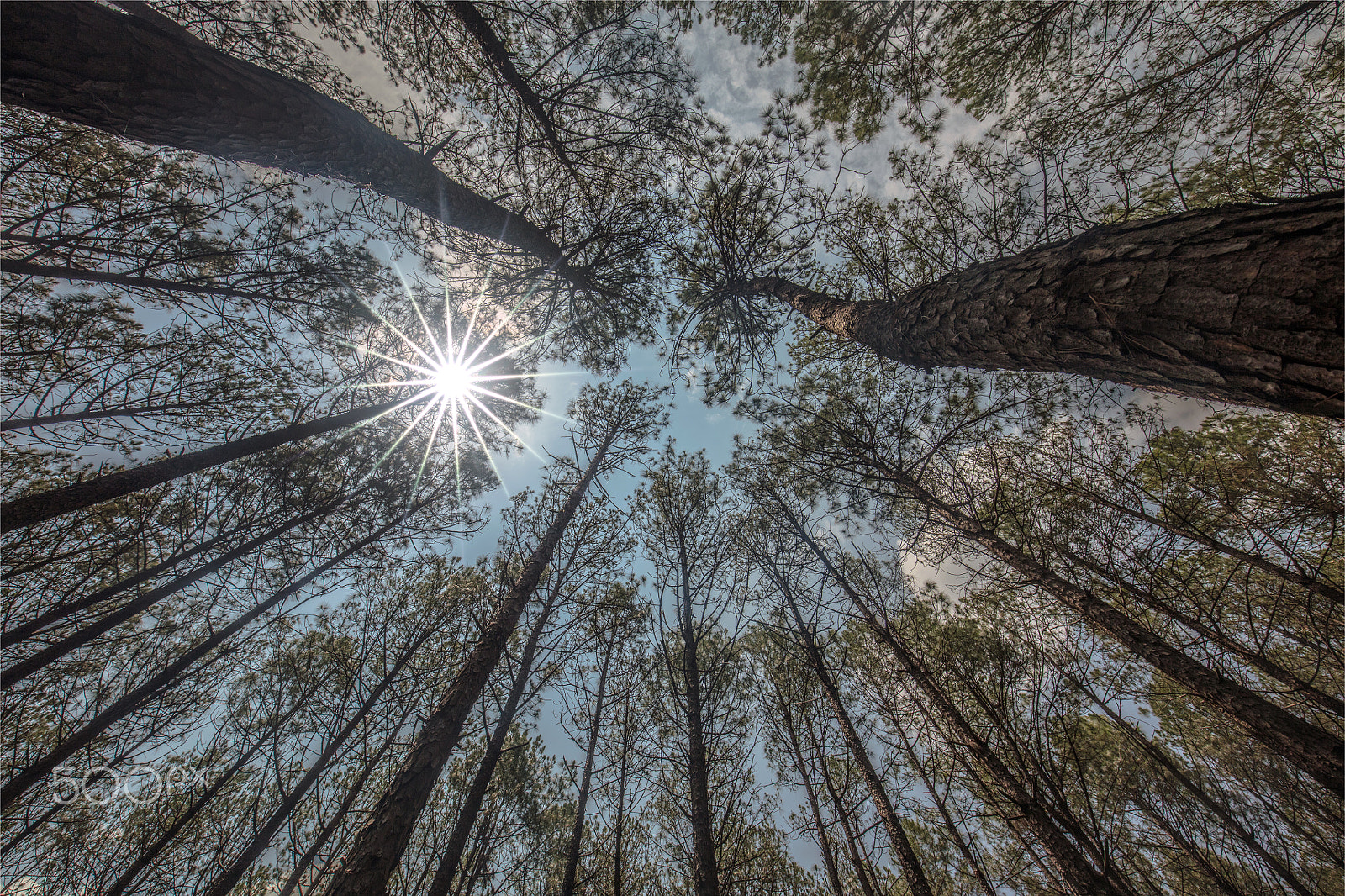 Canon EF 16-35mm F4L IS USM sample photo. Midday blues photography