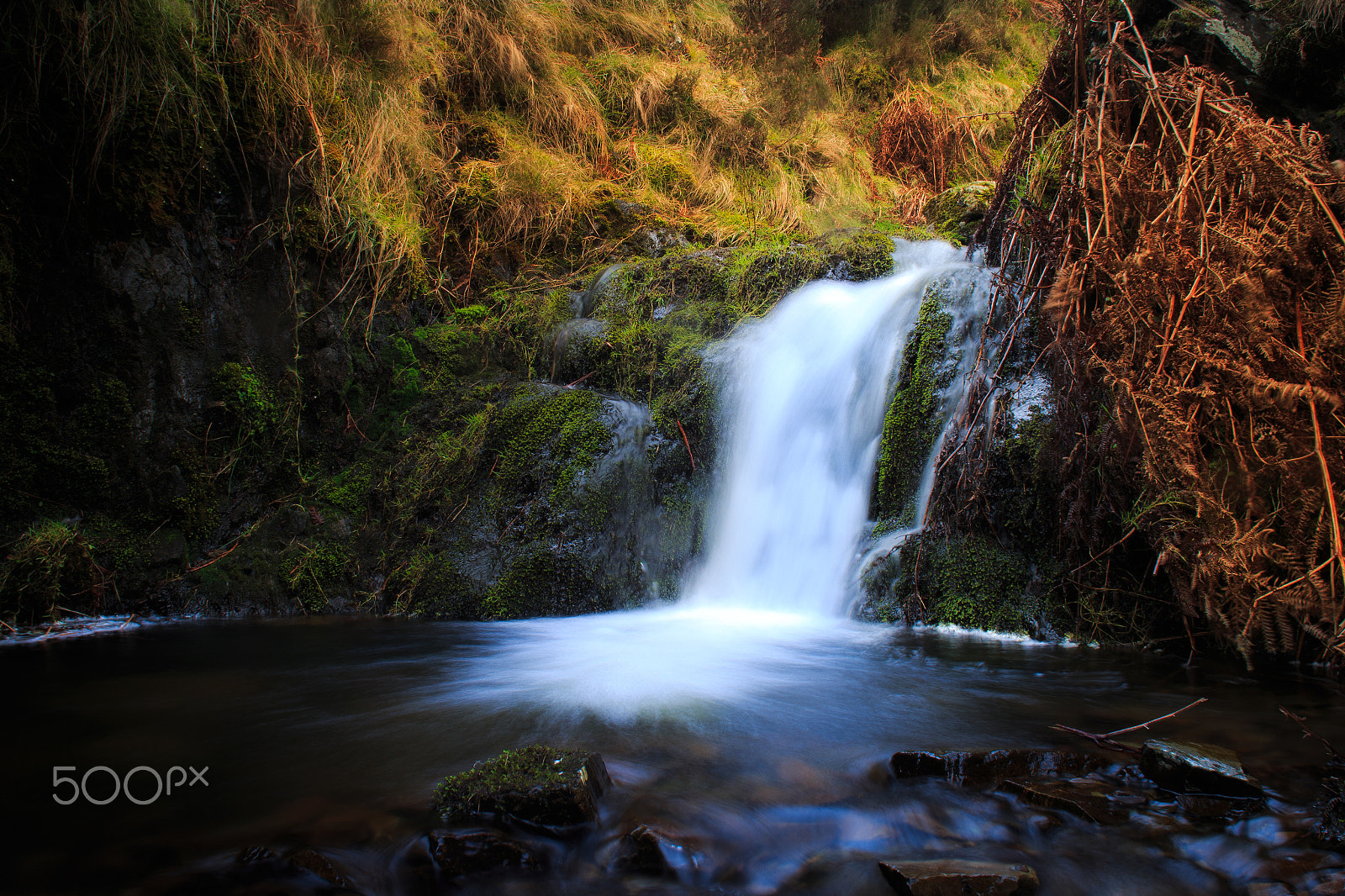 Canon EF 20mm F2.8 USM sample photo. Spring hollow runoff photography