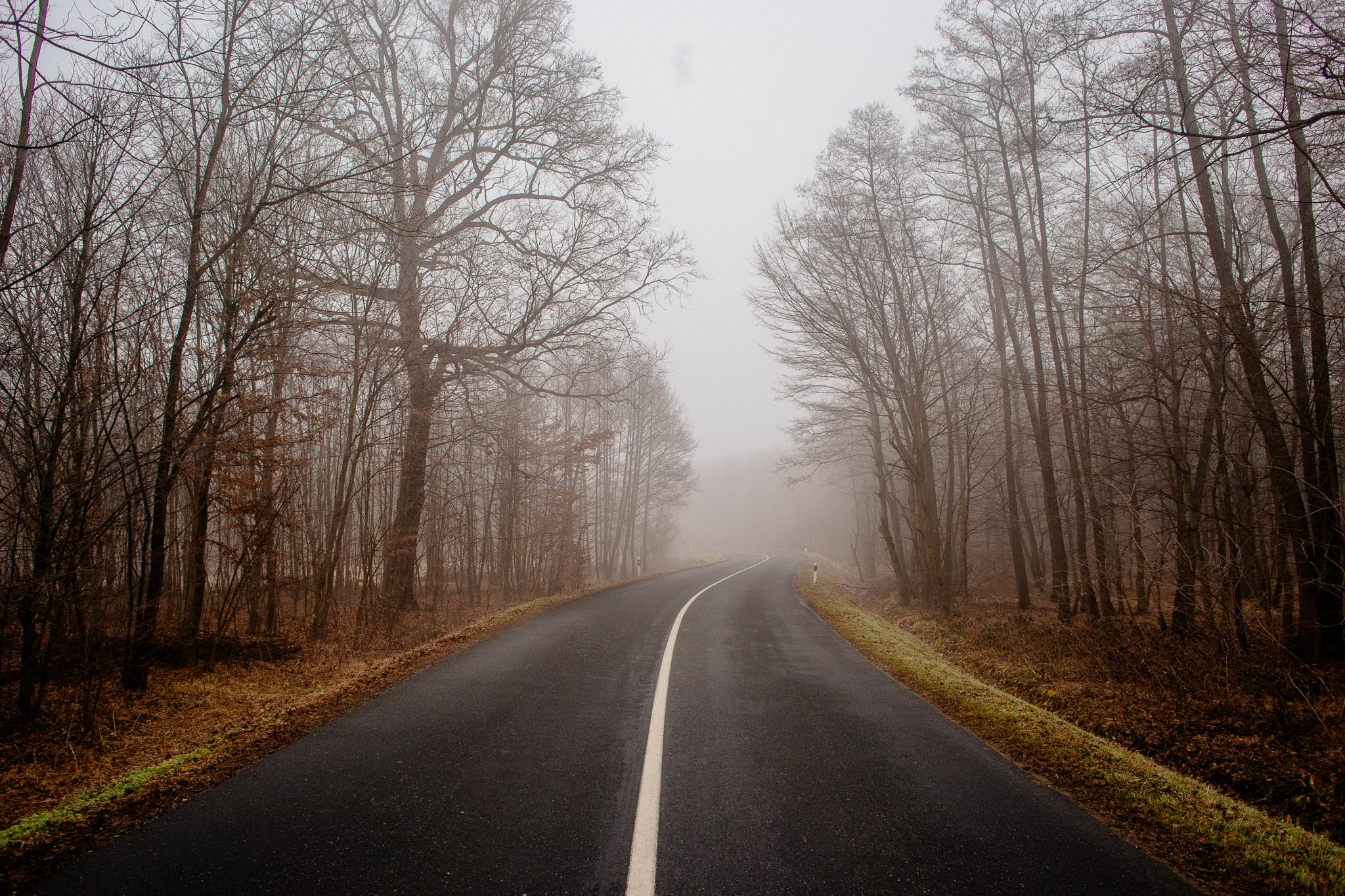 Canon EOS 6D + Canon EF 24mm F2.8 sample photo. Road less traveled photography