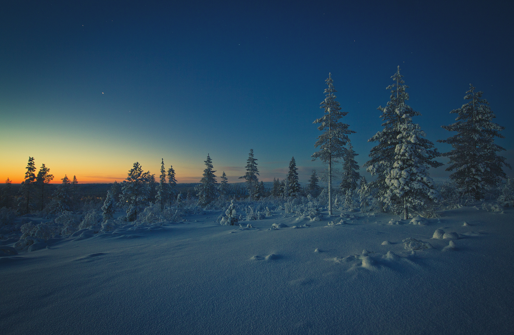 Canon EOS 60D sample photo. The winter kingdom photography