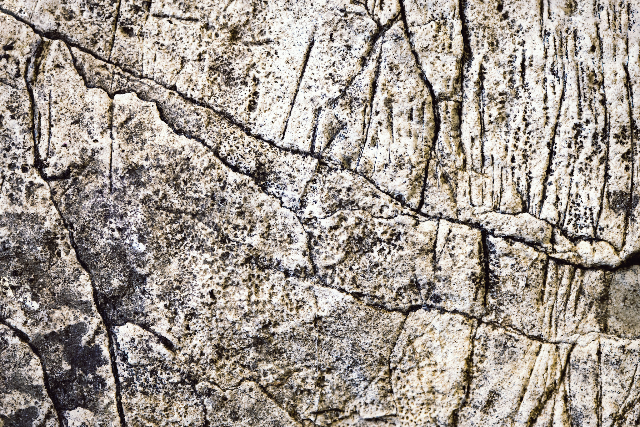 Nikon D5500 sample photo. Grooved limestone dirty photography