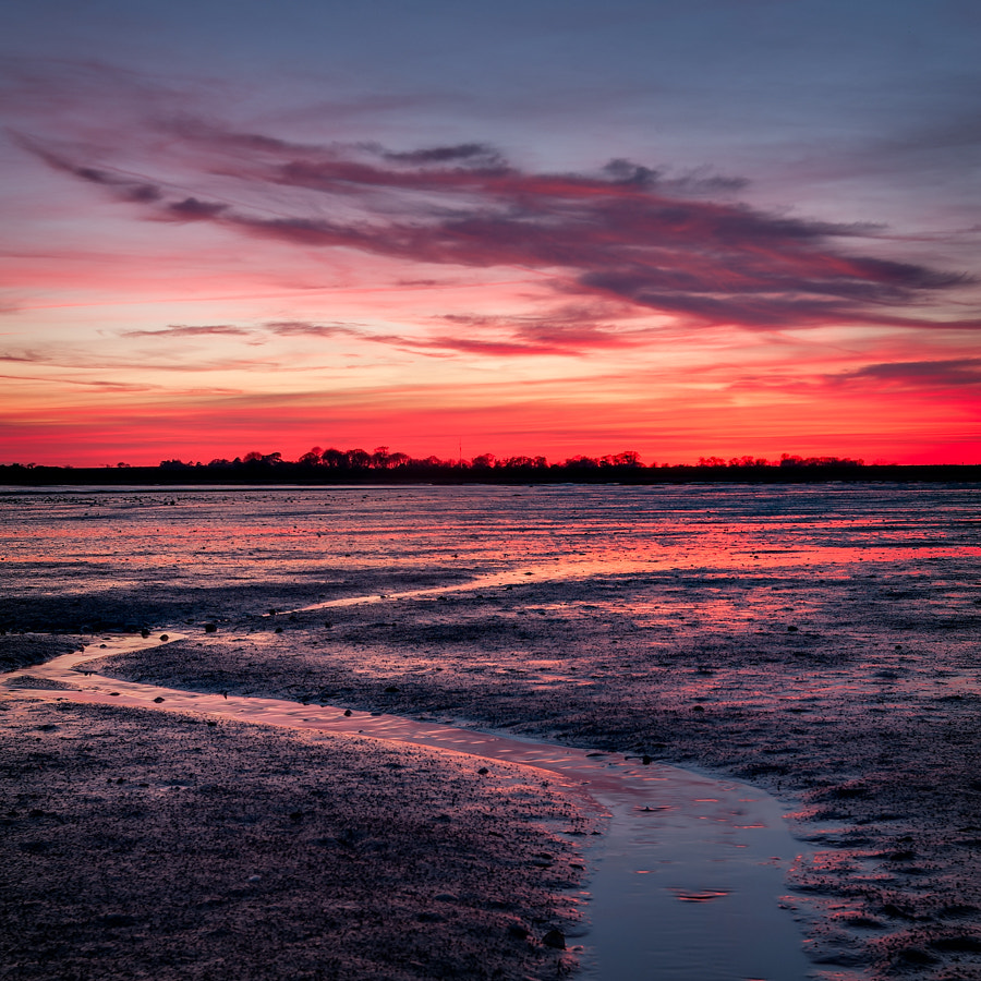 Nikon AF-S Nikkor 16-35mm F4G ED VR sample photo. Mudflat sunset photography