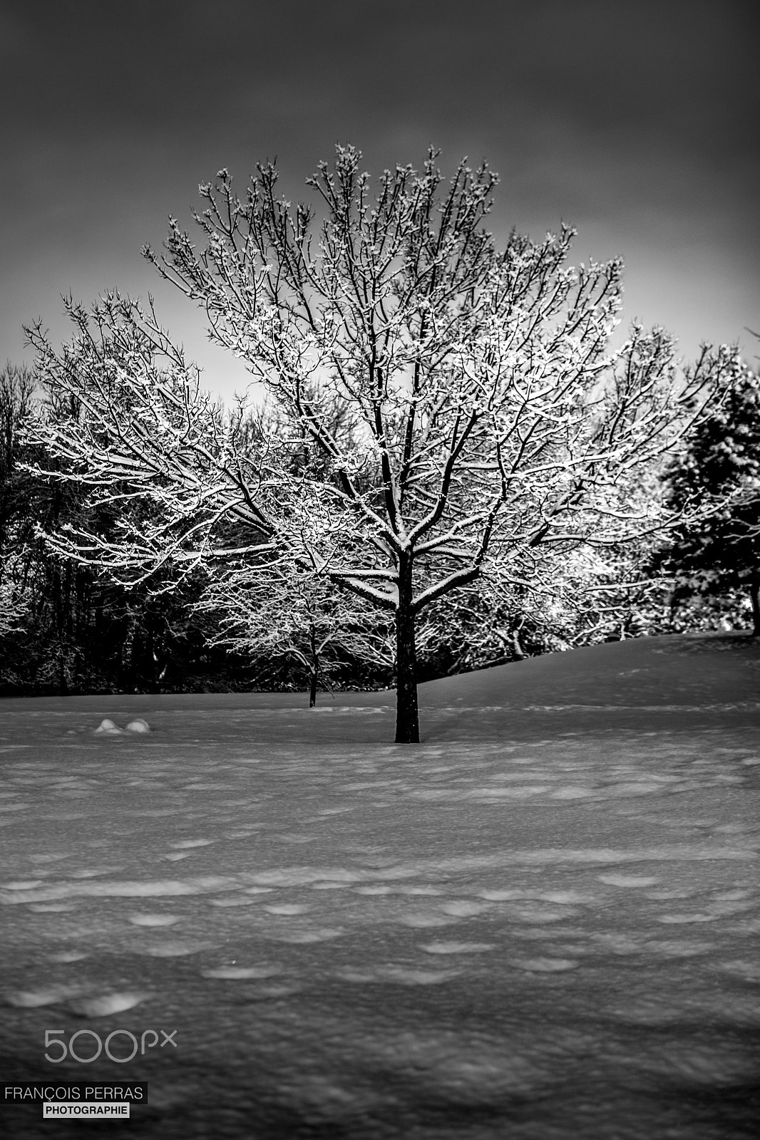 Canon EOS 5D Mark IV + Canon EF 35mm F1.4L USM sample photo. Snow glowing in the dark photography