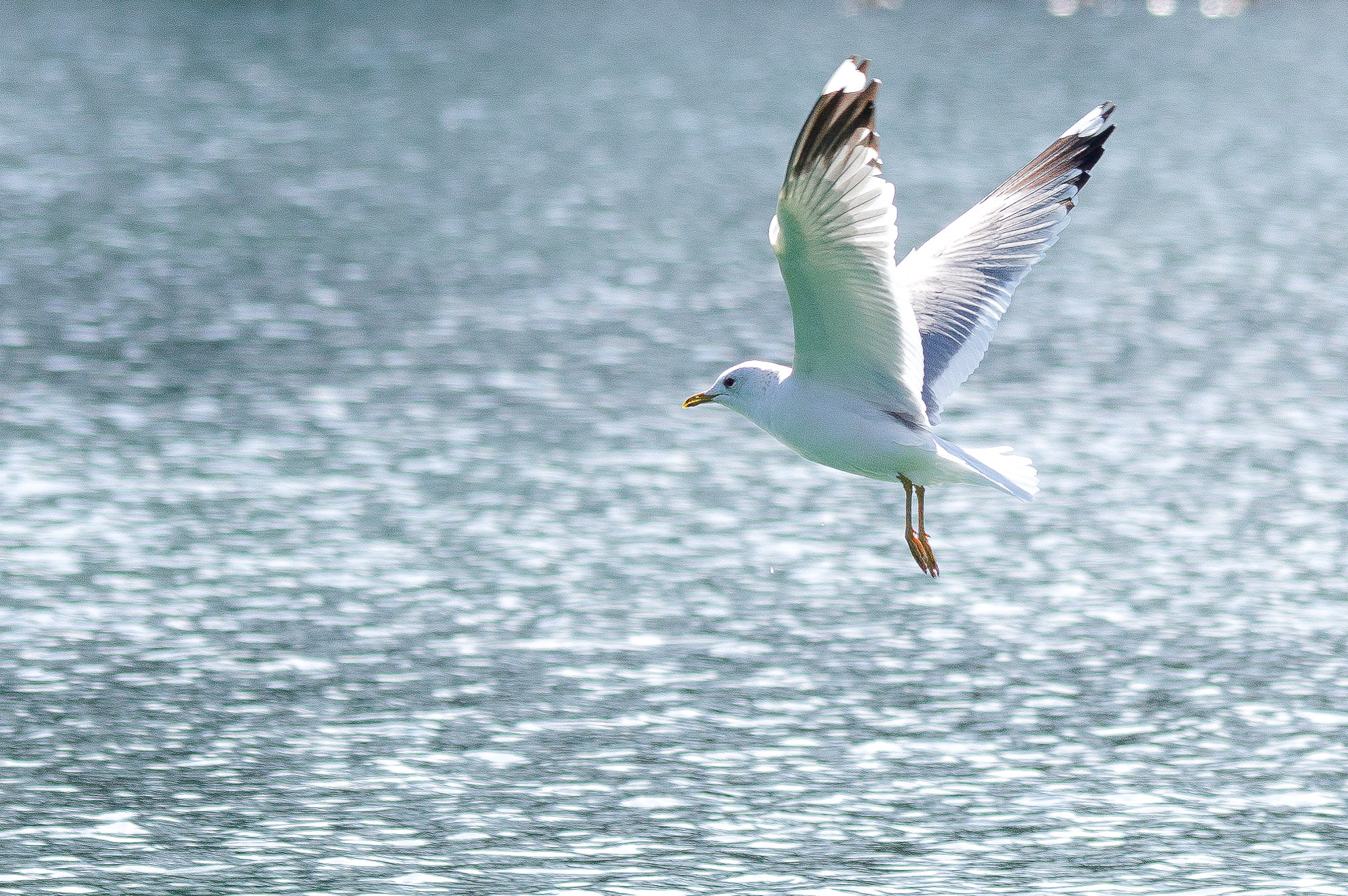 Pentax K-3 II sample photo. The take off part 2 photography