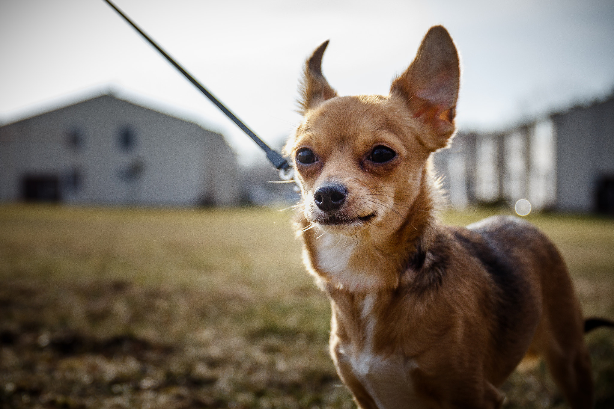 Canon EF 24-70mm F4L IS USM sample photo. ... photography
