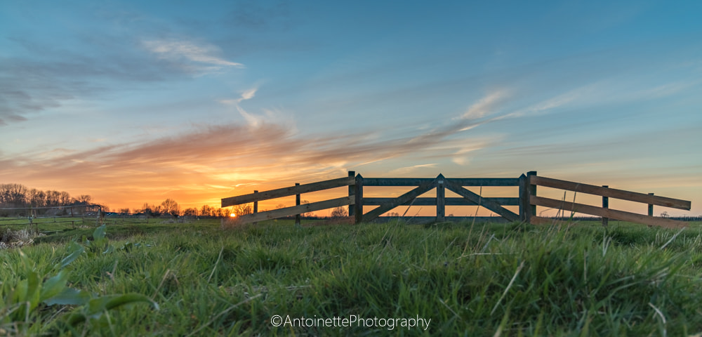 Canon EOS 760D (EOS Rebel T6s / EOS 8000D) + Canon EF-S 10-18mm F4.5–5.6 IS STM sample photo. Hekje deel 2 landgoedhaarzuilens. photography