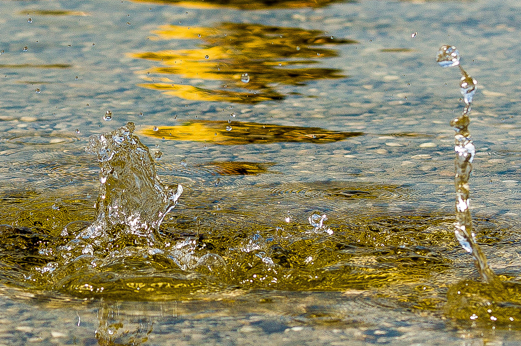 Pentax K-3 II sample photo. Splash photography