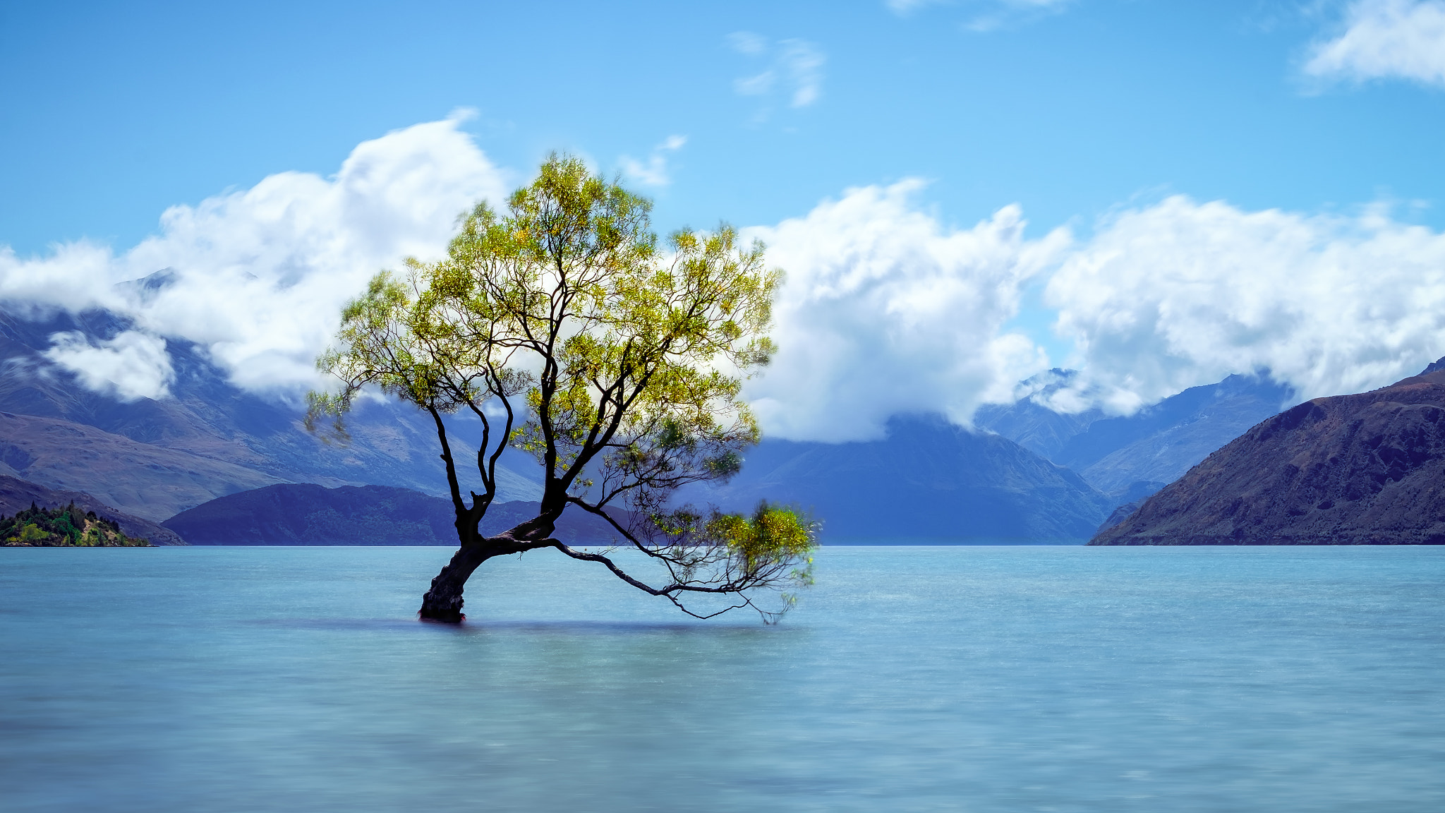 Fujifilm XF 50-140mm F2.8 R LM OIS WR sample photo. That wanaka tree photography