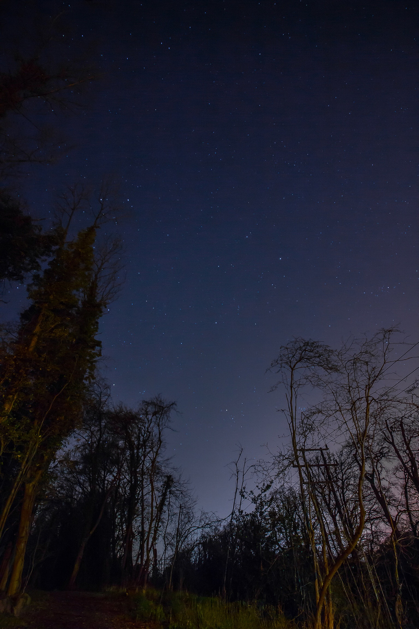 Canon EOS 700D (EOS Rebel T5i / EOS Kiss X7i) sample photo. Night sky photography