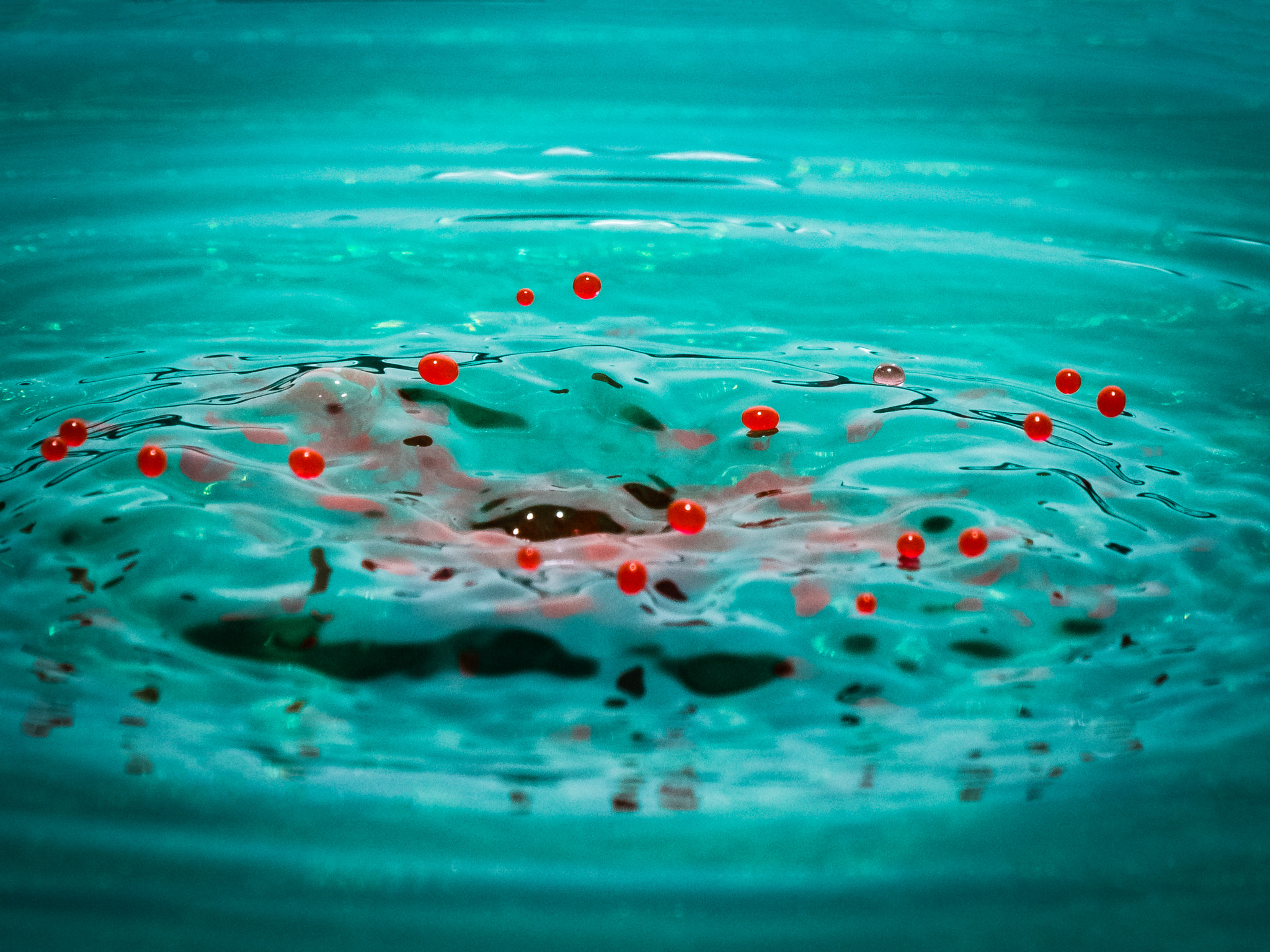 Olympus OM-D E-M10 II sample photo. Little red spots photography