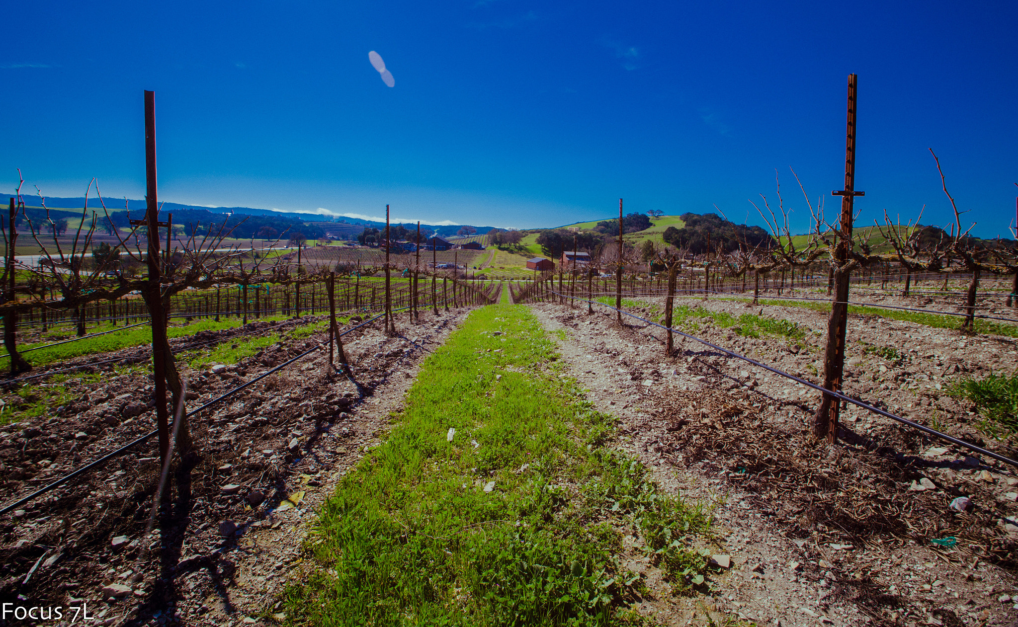 Canon EOS 6D sample photo. Spring time wine tasting photography