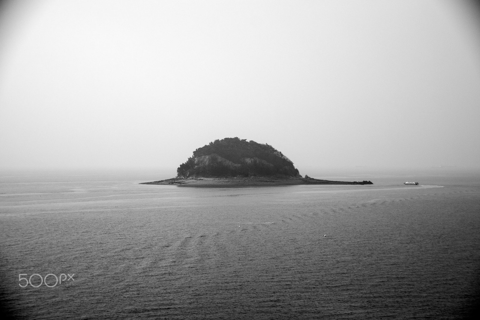 Sigma 18-250mm F3.5-6.3 DC Macro OS HSM sample photo. Cms photography