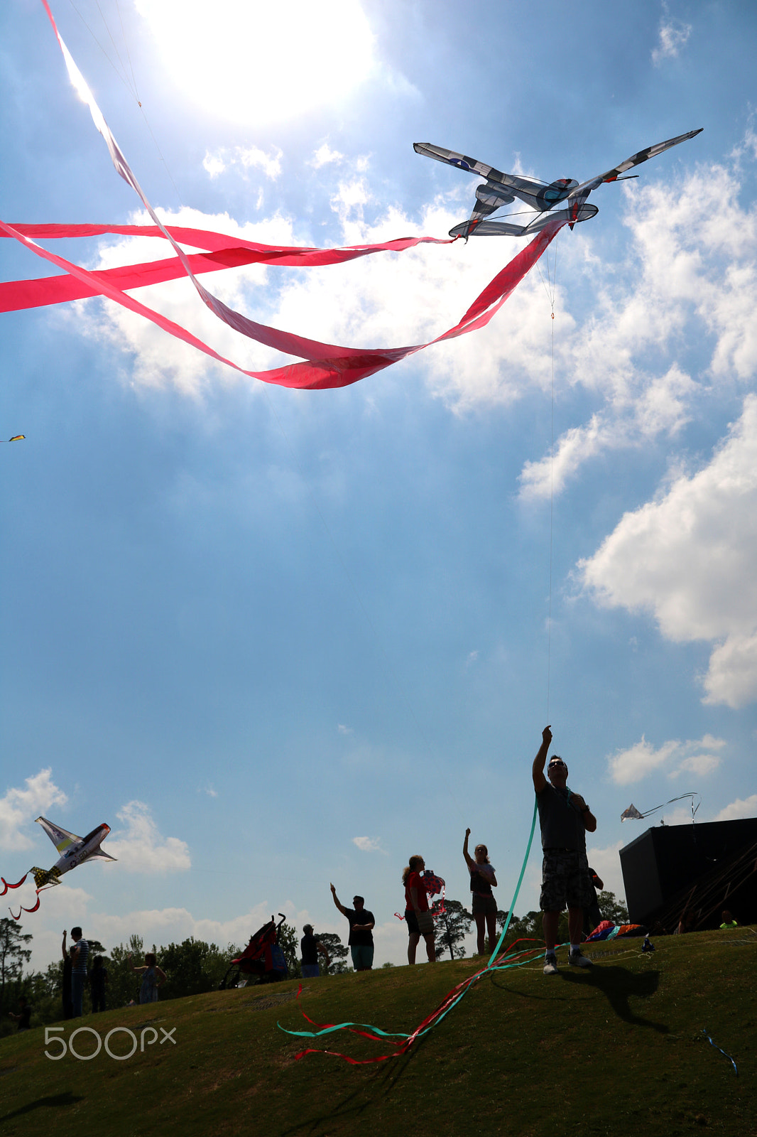 Canon EOS 750D (EOS Rebel T6i / EOS Kiss X8i) sample photo. Kite festival 8084 photography