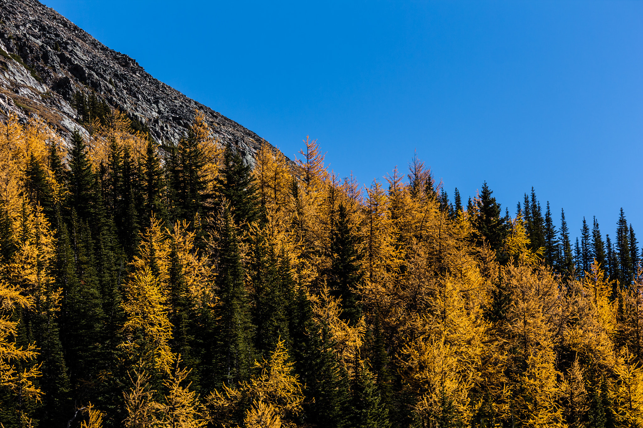 Canon EF-S 55-250mm F4-5.6 IS sample photo. Highwood pass photography