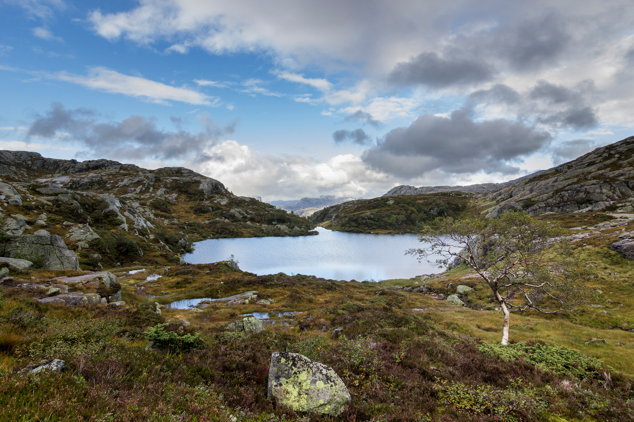 Tokina AT-X Pro 12-24mm F4 (IF) DX sample photo. Dreamland photography