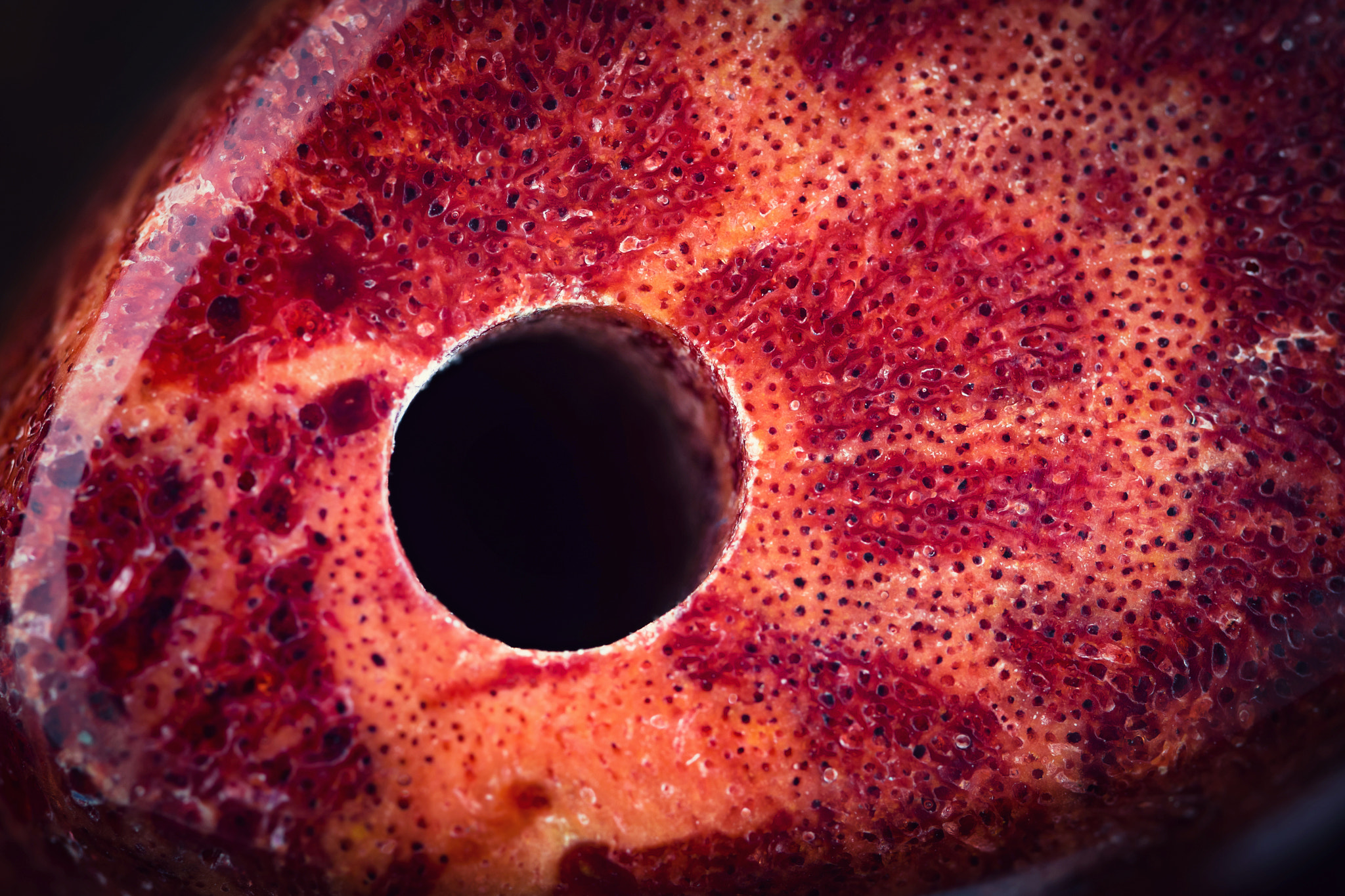 Nikon D5500 sample photo. Detail holes in beads of red coral photography