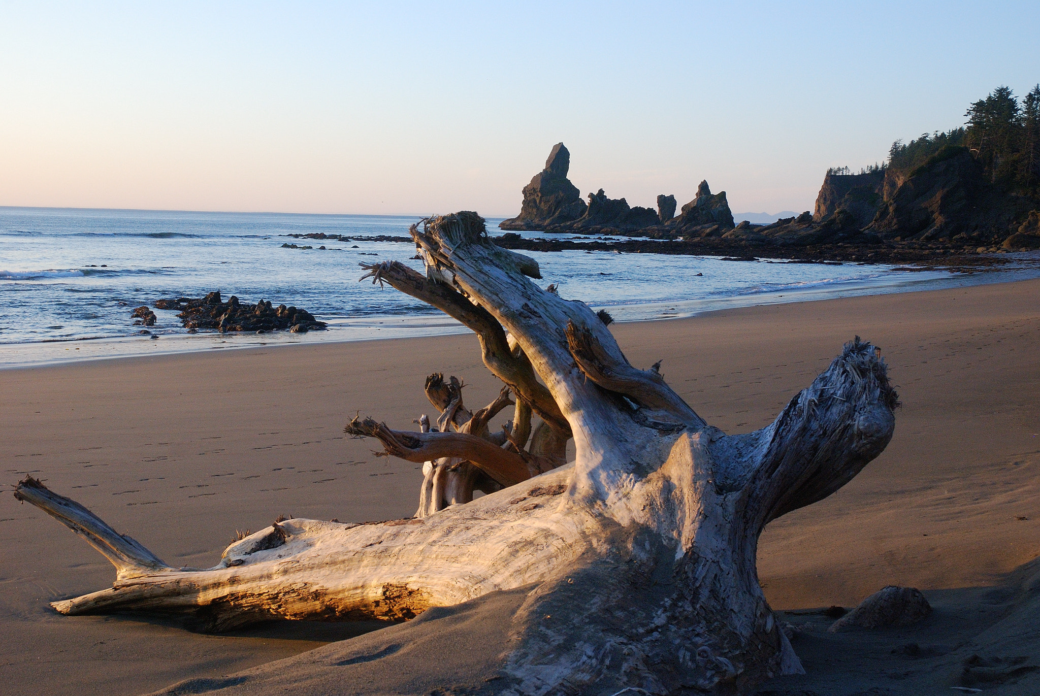 Nikon D80 sample photo. Usa photography