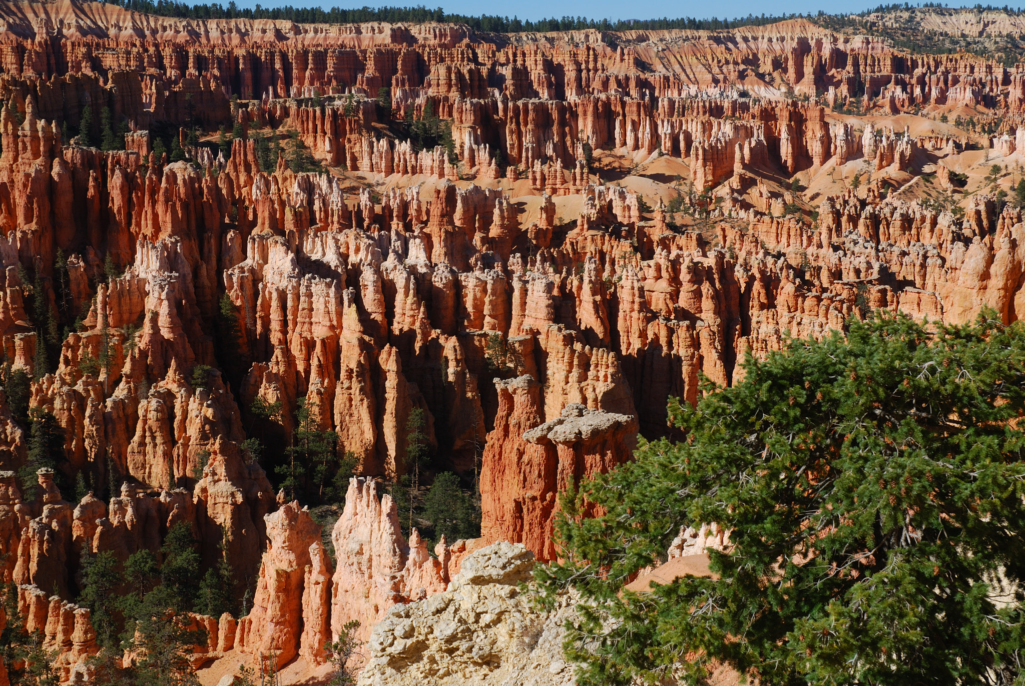 Nikon D80 sample photo. Usa photography
