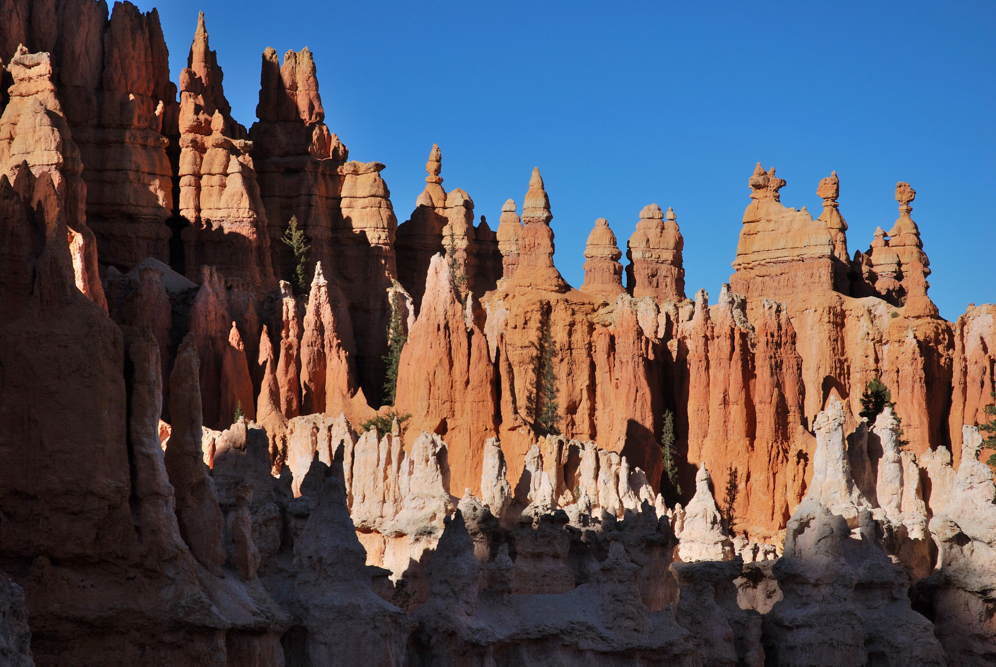 Nikon D80 sample photo. Usa photography