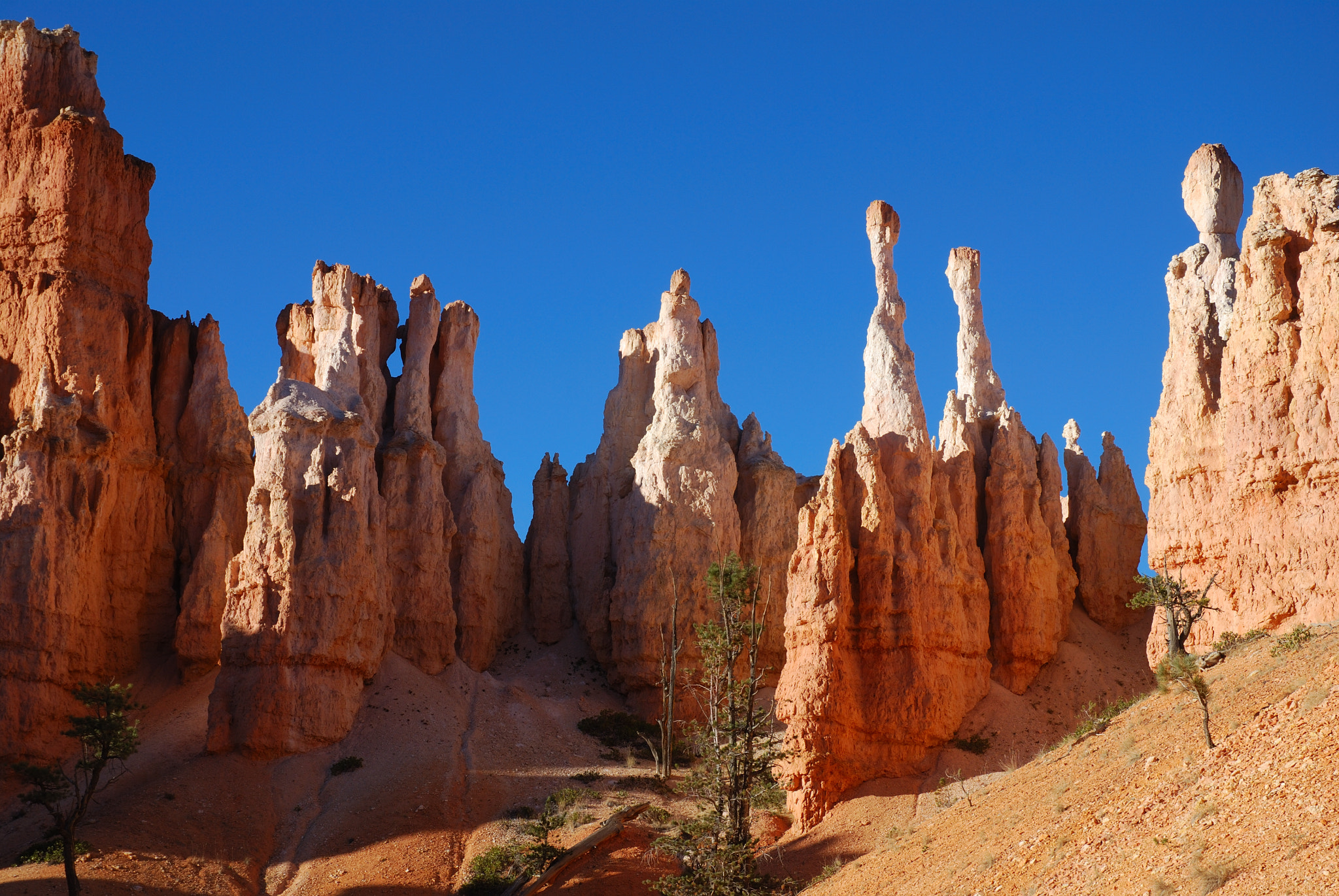 Nikon D80 sample photo. Usa photography
