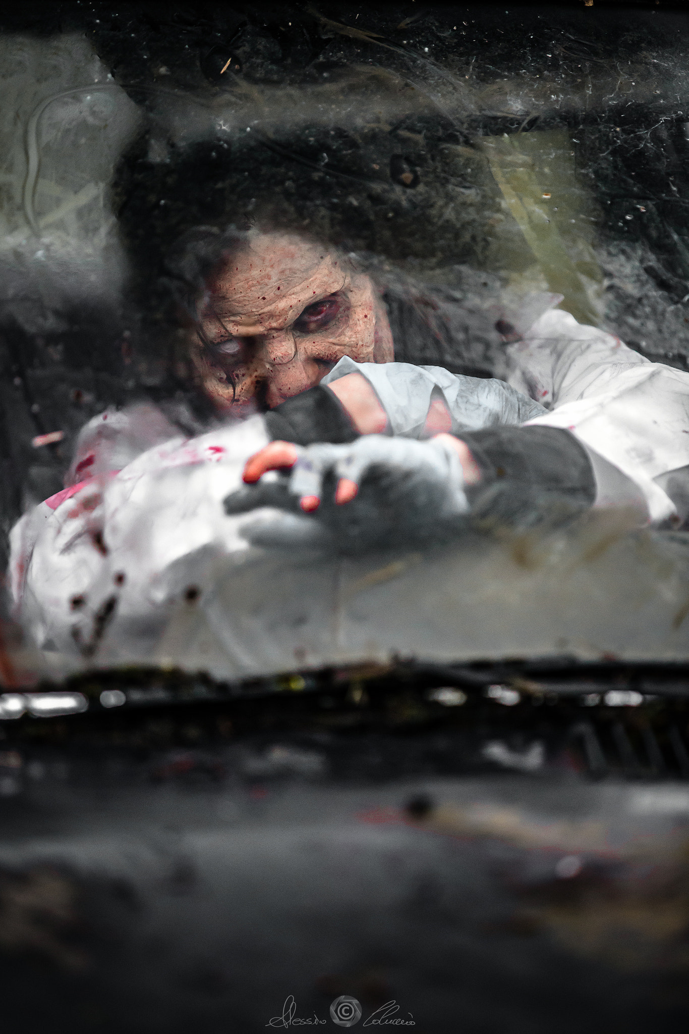Canon EOS-1D X sample photo. Zombie in greenland photography