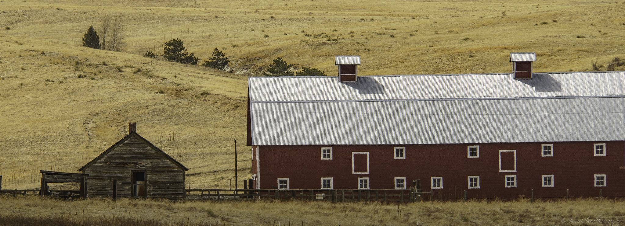 Sony E 18-200mm F3.5-6.3 OSS sample photo. Country cousins photography