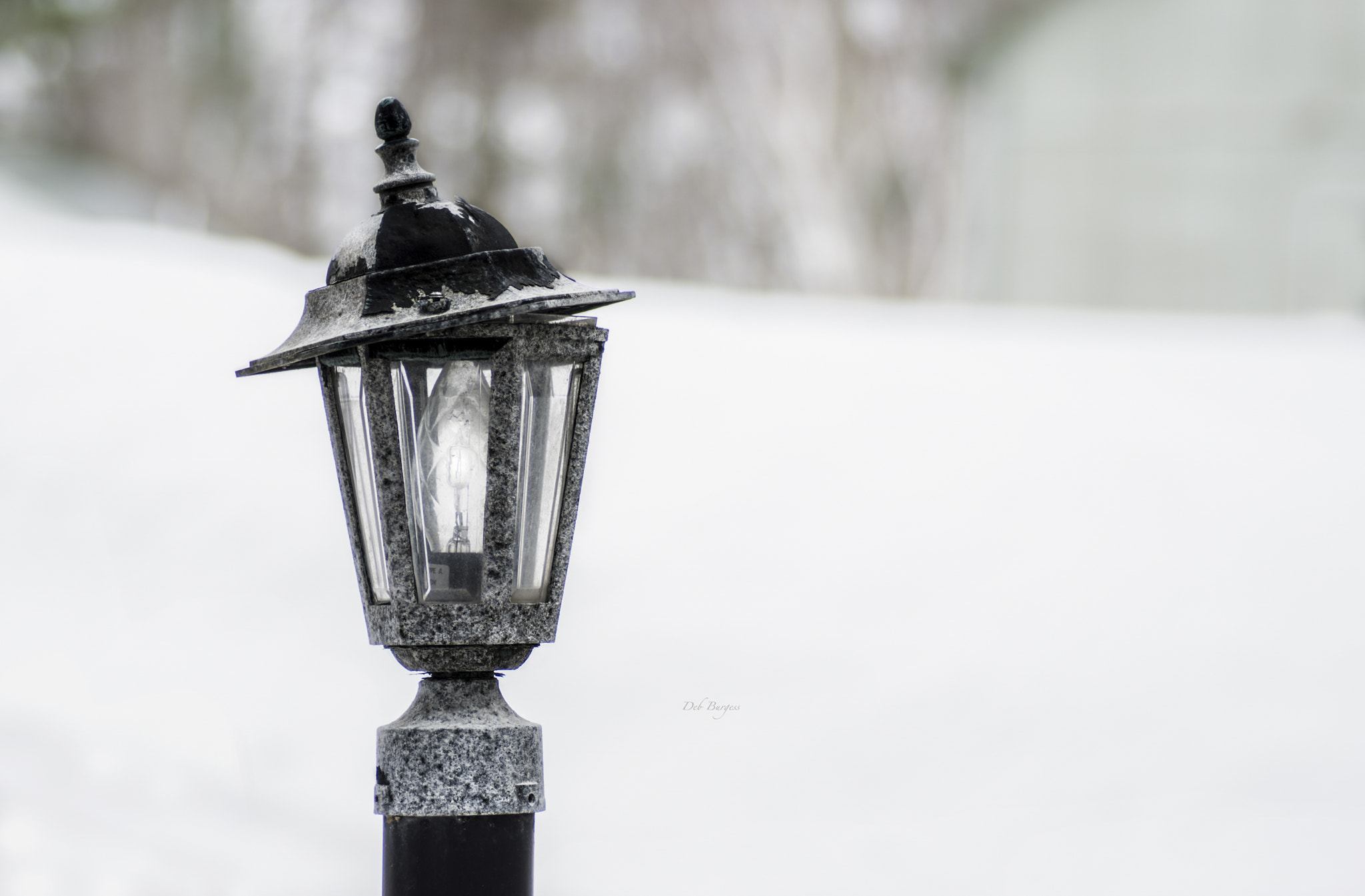Nikon D7200 sample photo. Tippy top photography