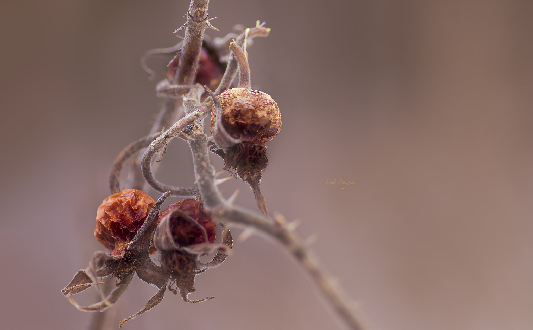Nikon D7200 sample photo. Waiting for spring photography