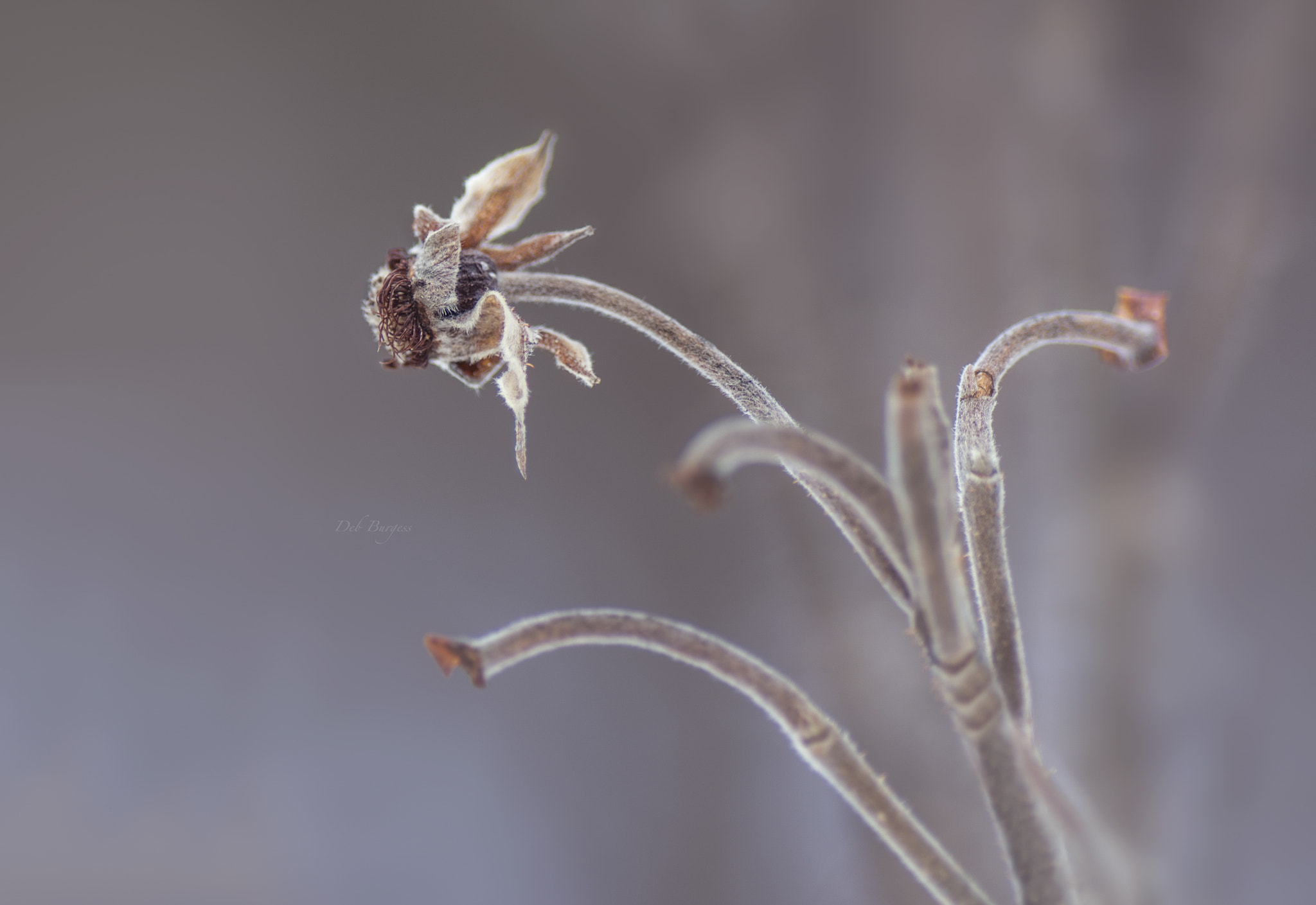 Nikon D7200 sample photo. Waiting for spring photography