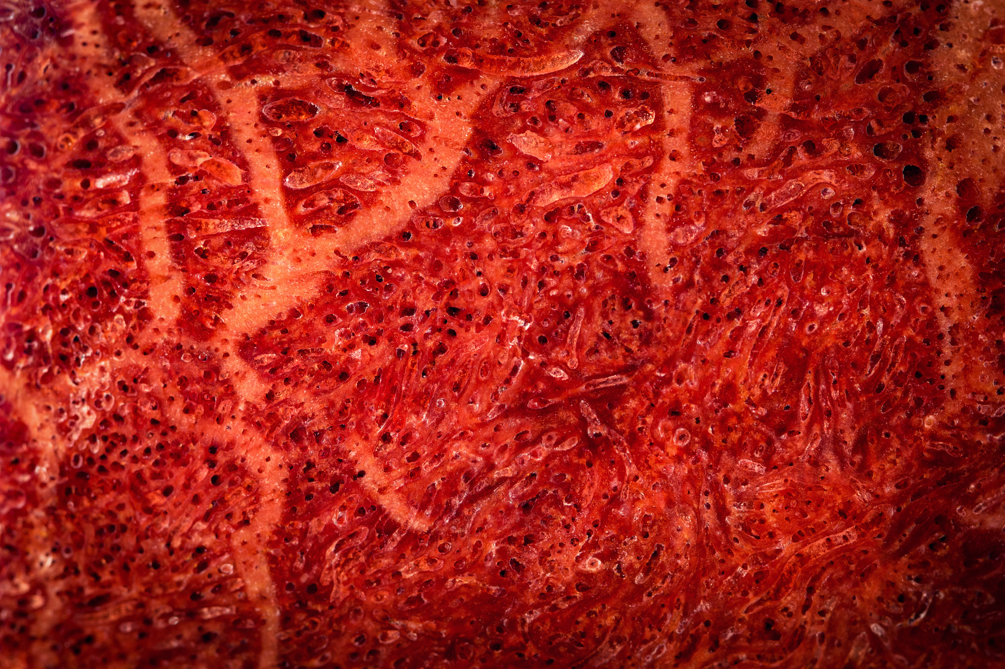 Nikon D5500 sample photo. Texture detail polished red coral photography